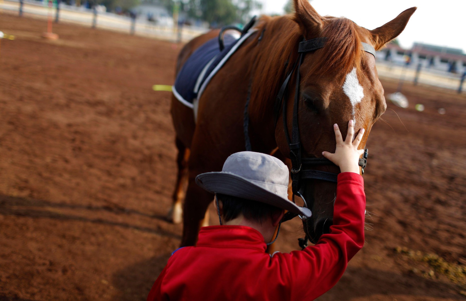 Horse Therapy (Image: REUTERS / Alamy Stock Photo)