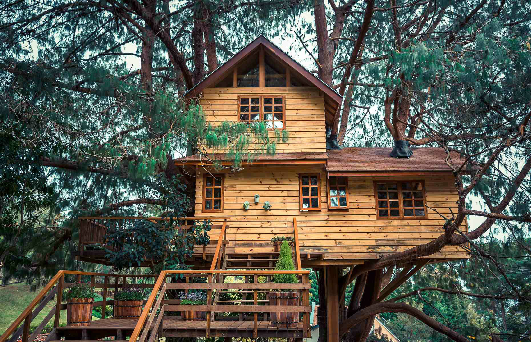 Quirky treehouse (image: Luciana Rinaldi/Shutterstock) 