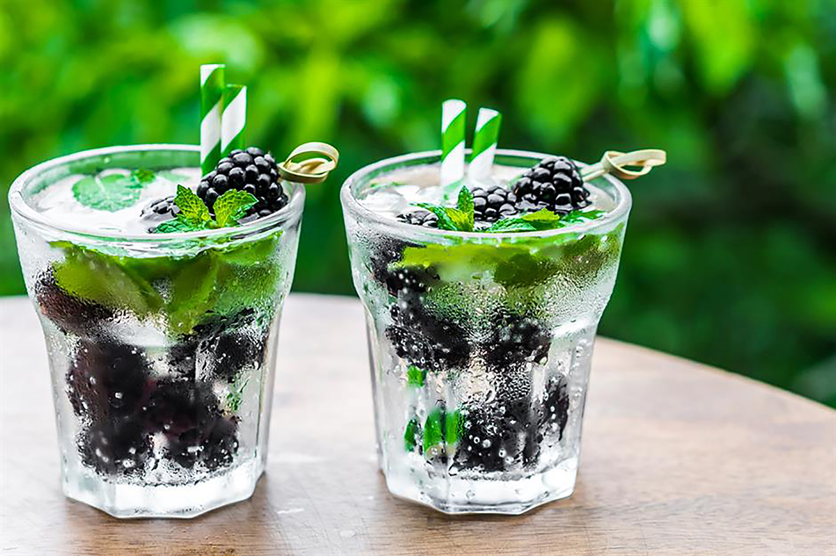 two glasses with blackberries and mint