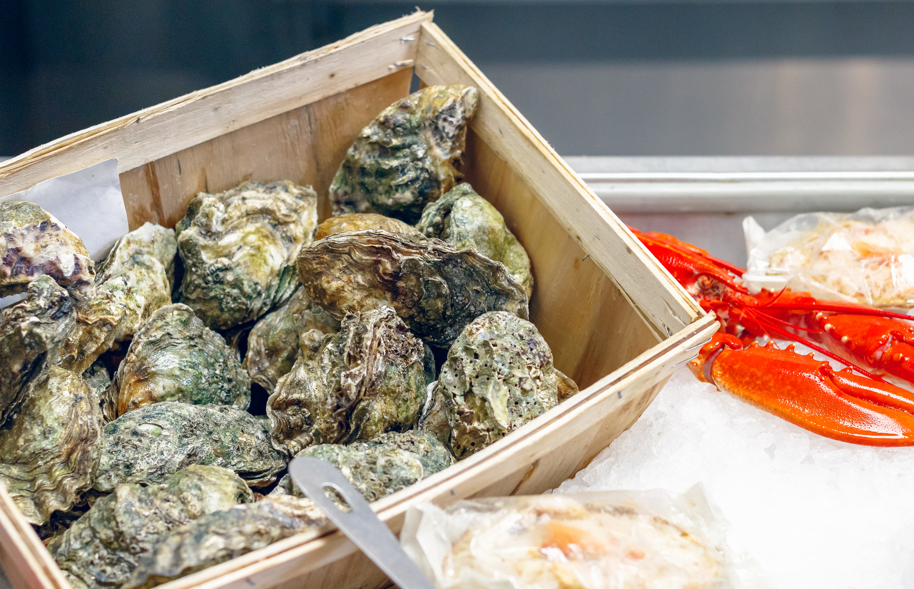 Oysters at market