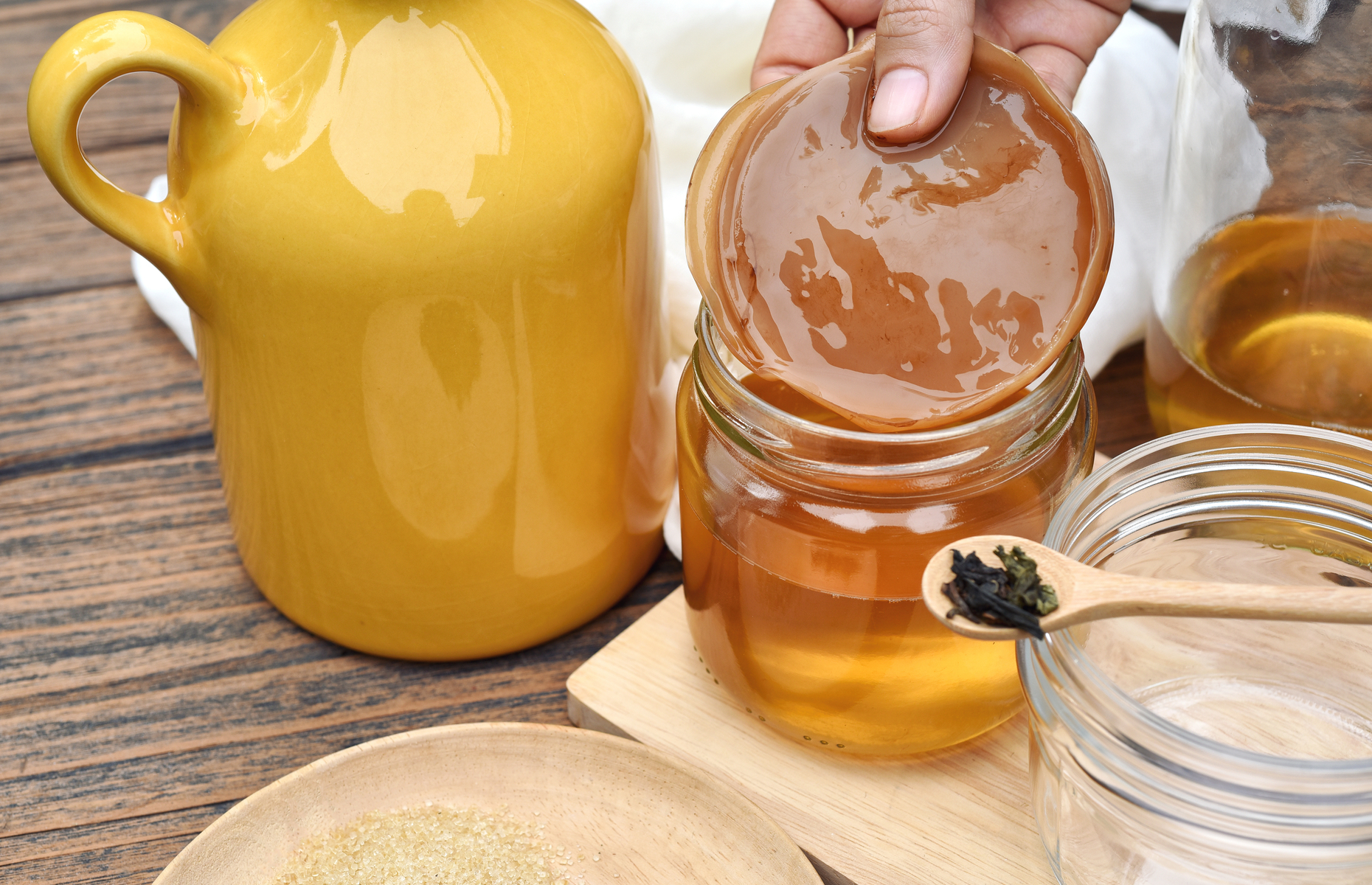 what is a scoby