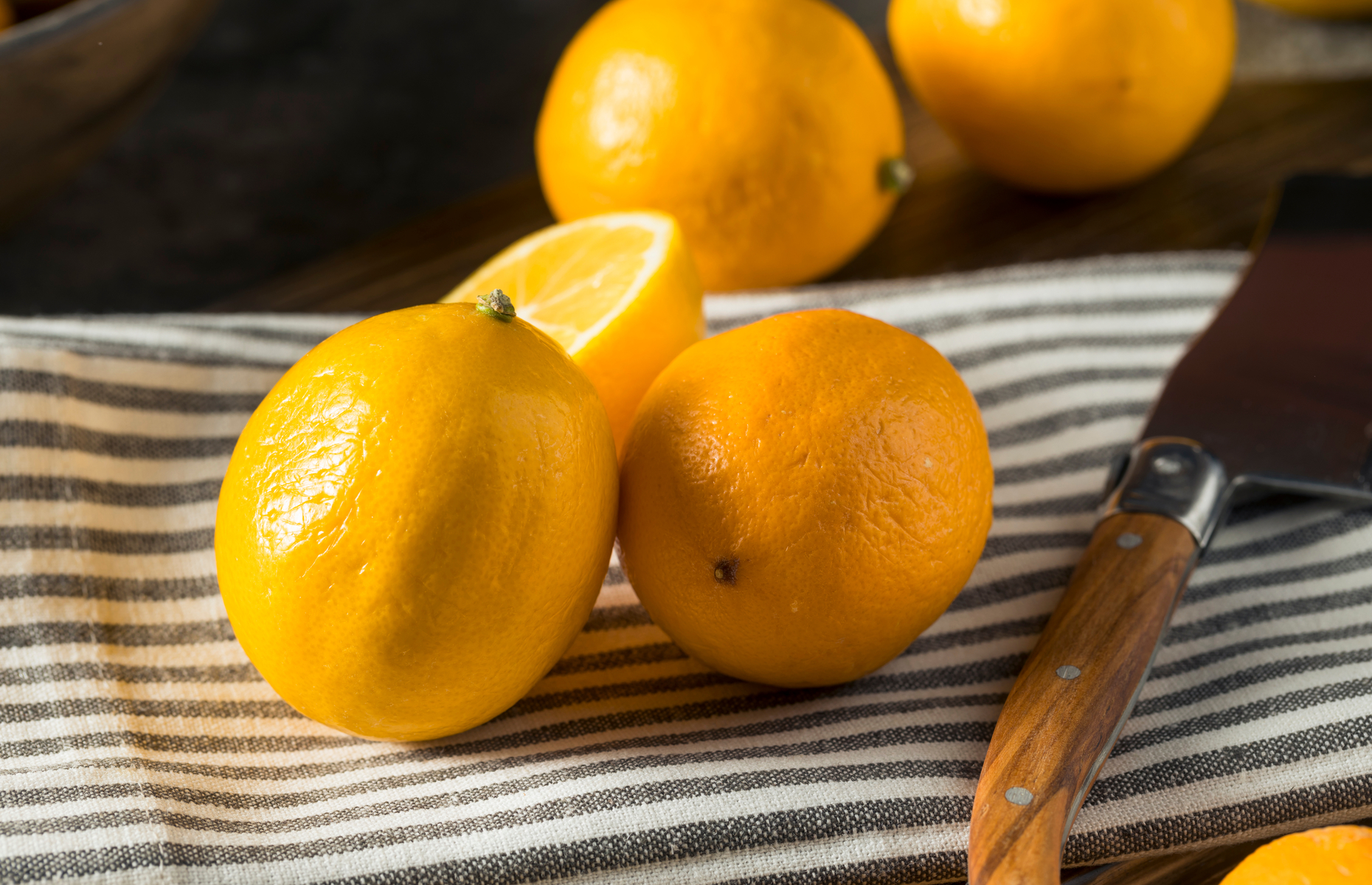 Meyer lemon (Image: Brent Hofacker/Shutterstock)