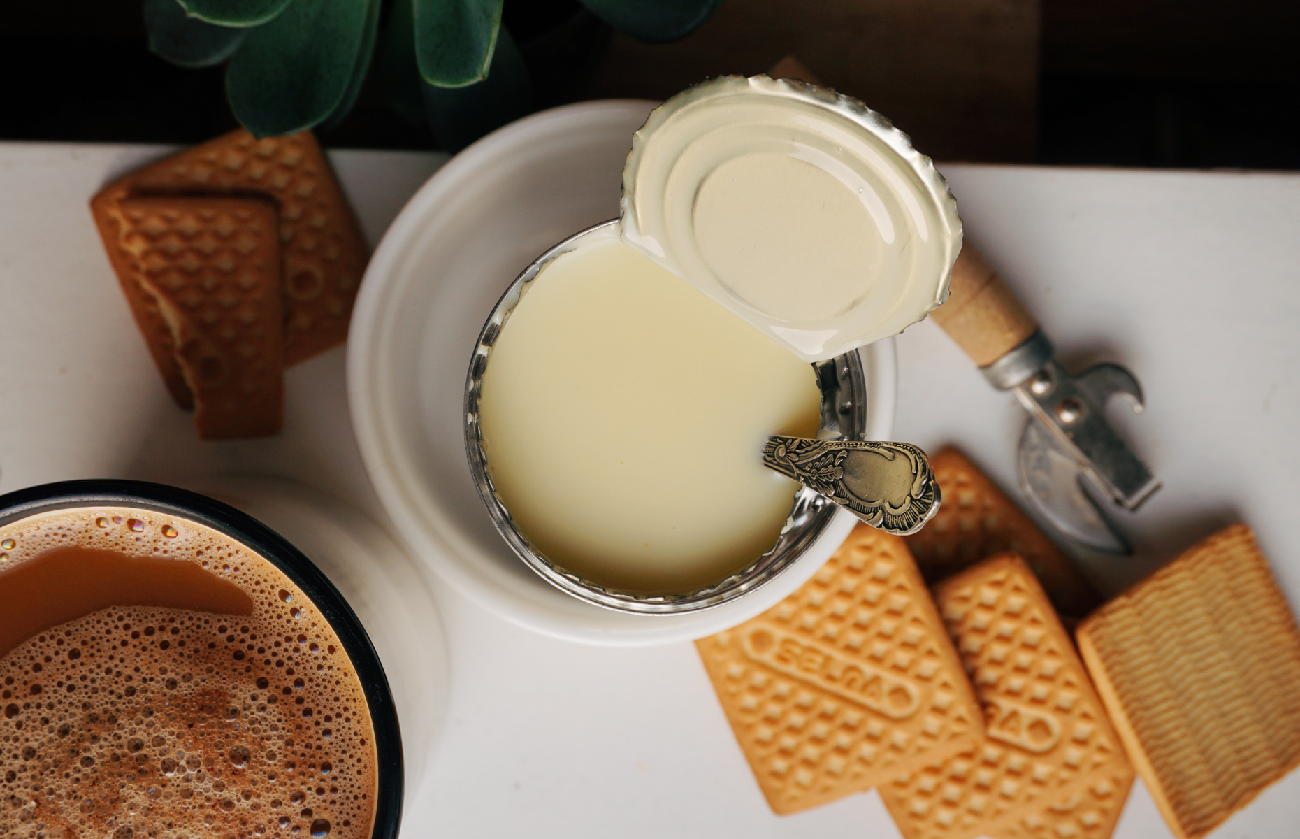 Can of condensed milk (Image: nzozo/Shutterstock)