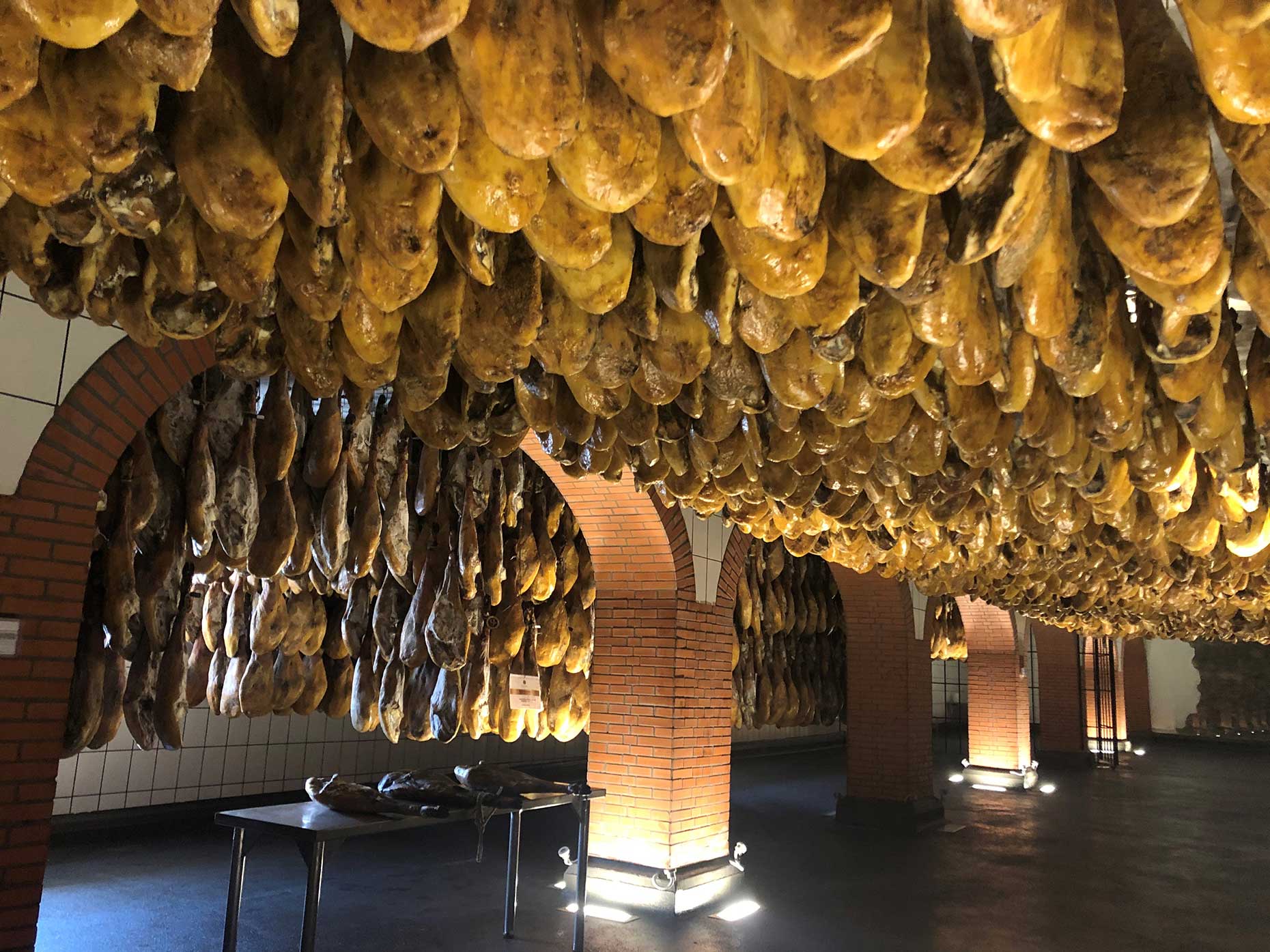 Cinco Jotas curing cellar (Image: Daisy Meager)