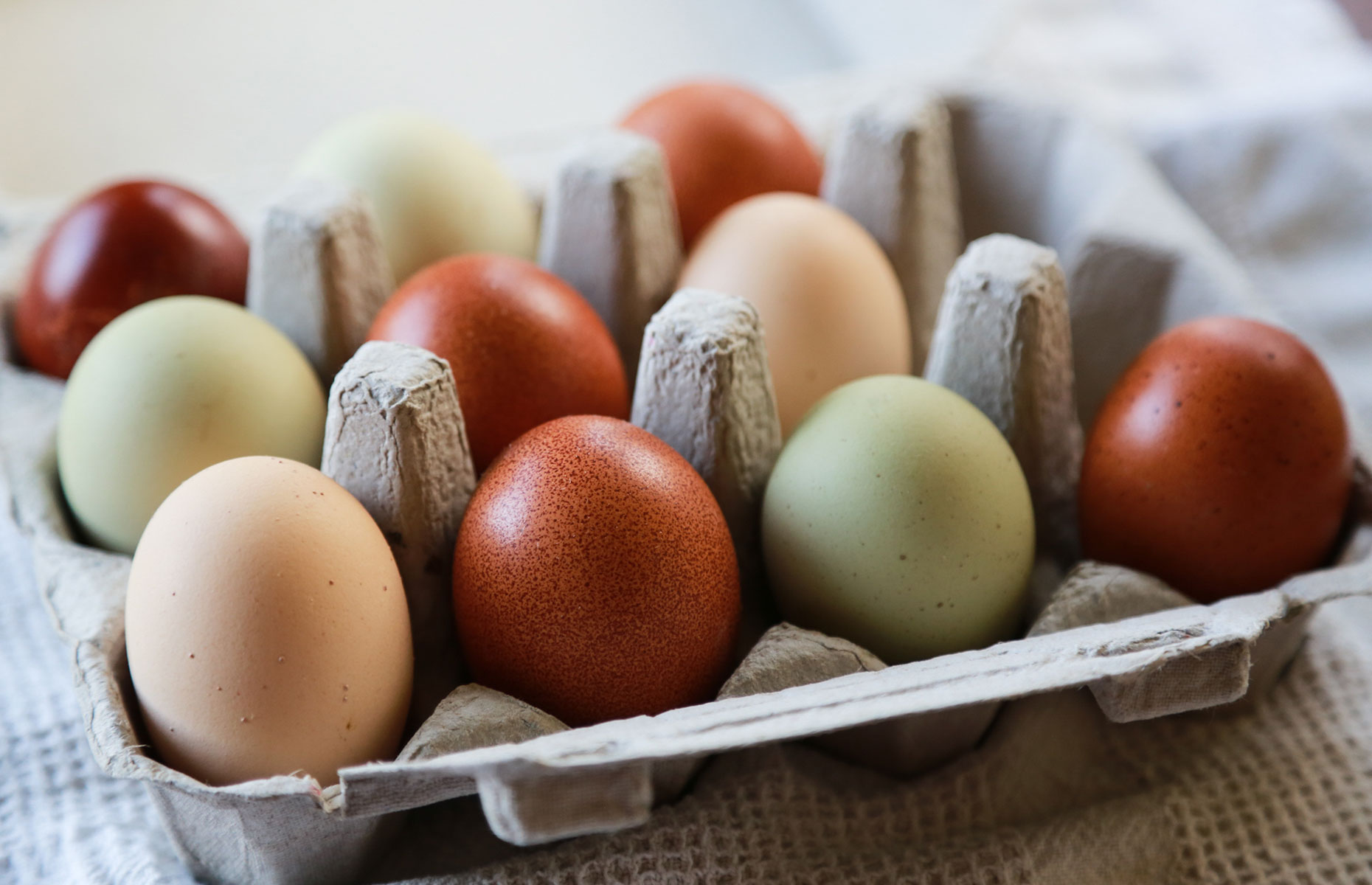 Chicken eggs in different colours including brown and blue (Image: PTZ Pictures/Shutterstock)