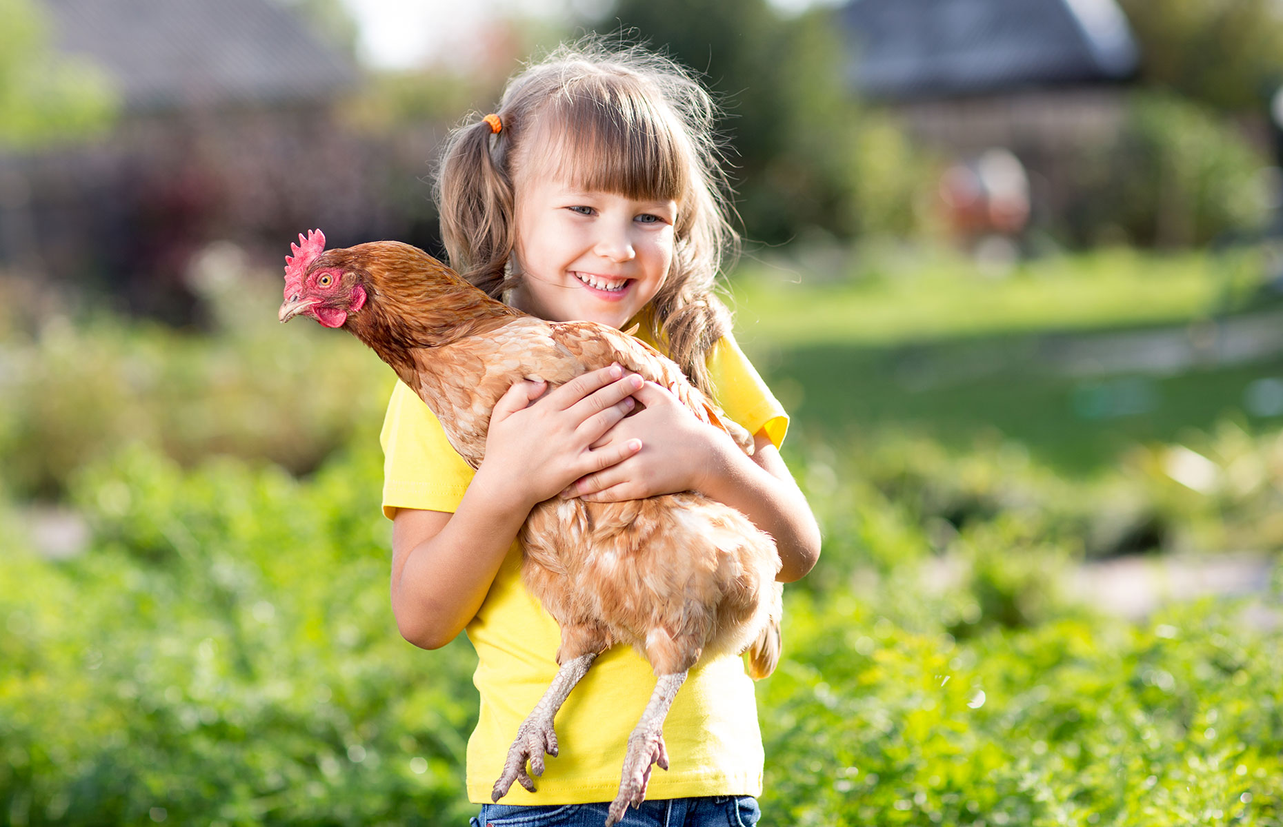 Chickens are usually great with children (Image: Oksana Kuzmina/Shutterstock)