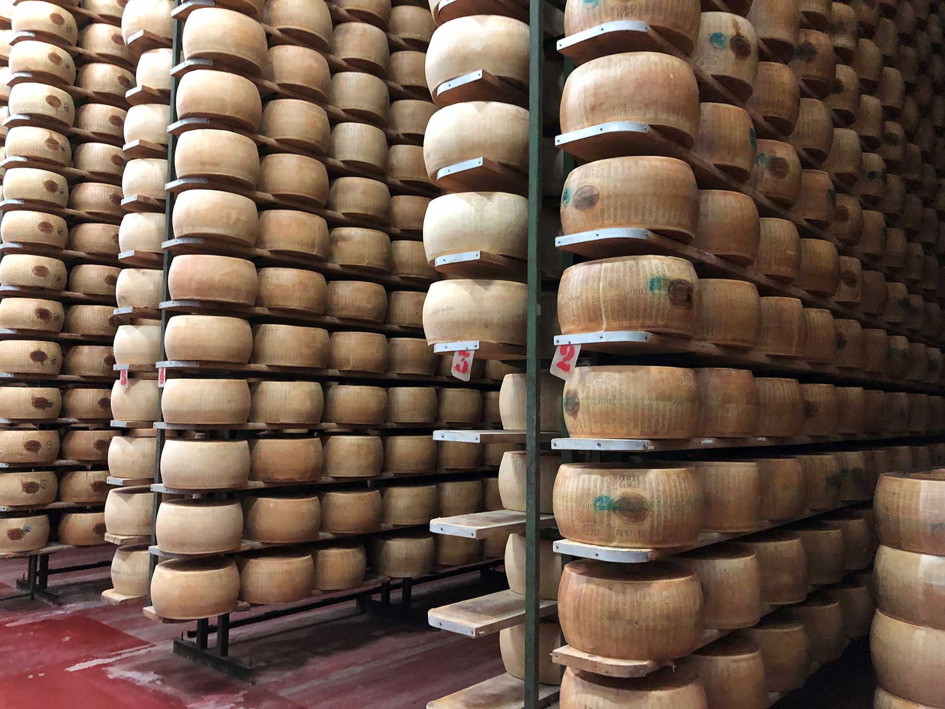 Parmesan in warehouse (Image: Daisy Meager)