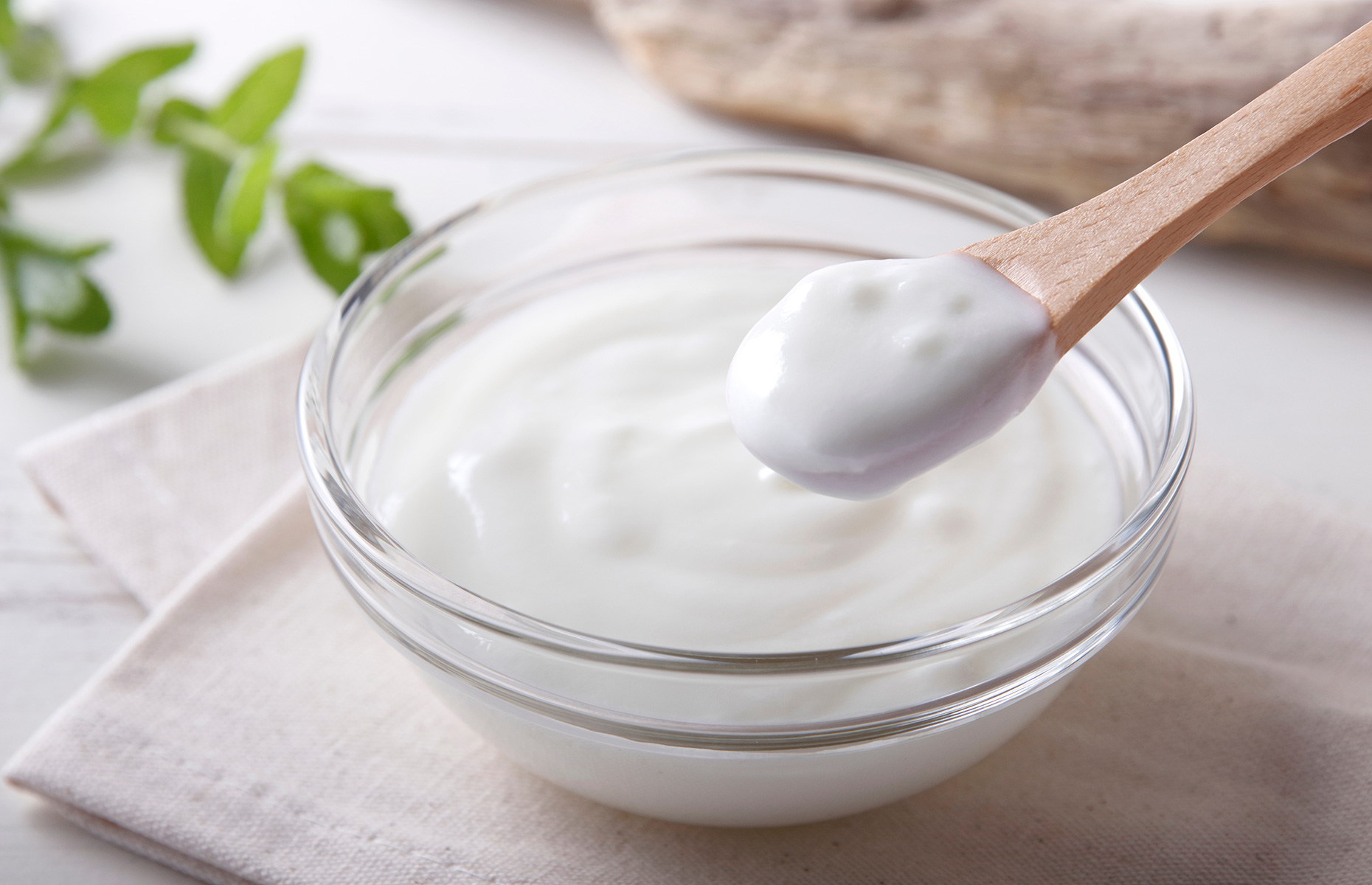 Bowl of yogurt (Image: NOBUHIRO ASADA/Shutterstock)