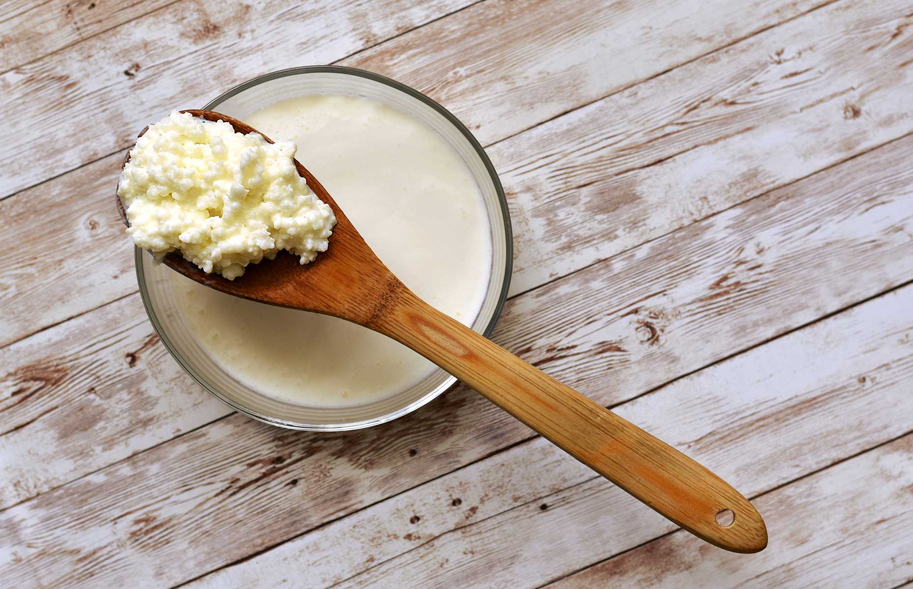 Kefir grains (Image: marmi1/Shutterstock)