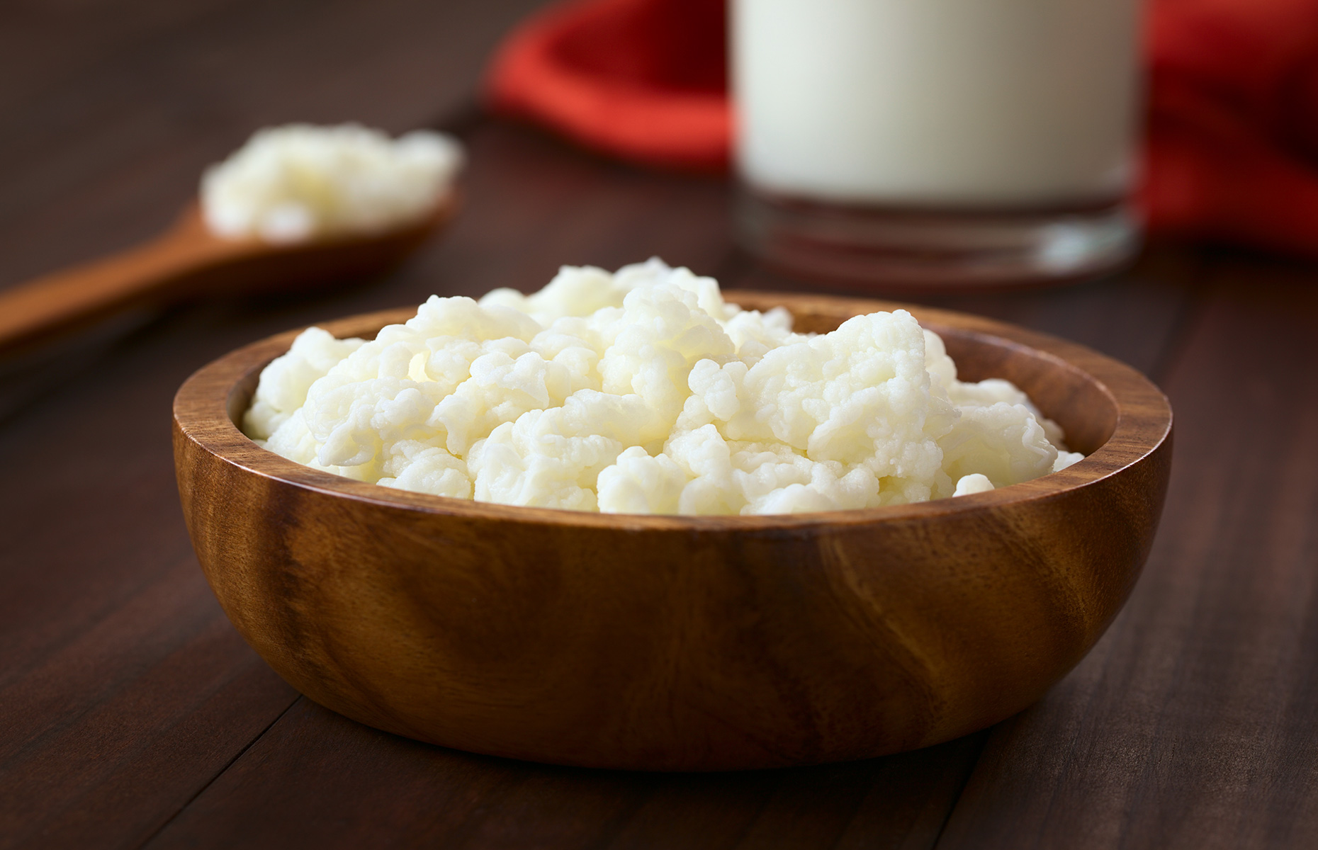 Bowl of kefir grains (Image: Ildi Papp/Shutterstock)