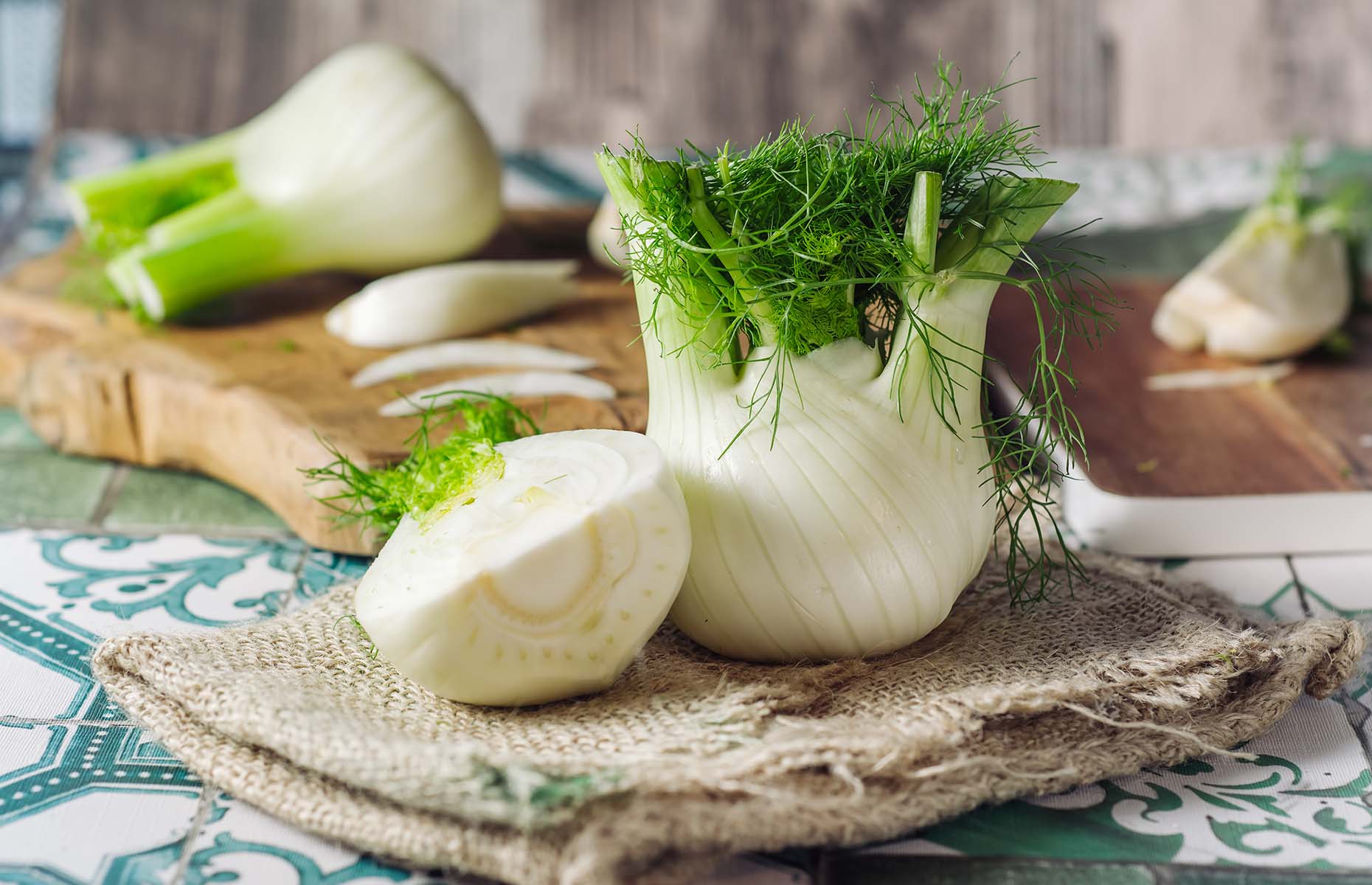 Fresh fennel bulb