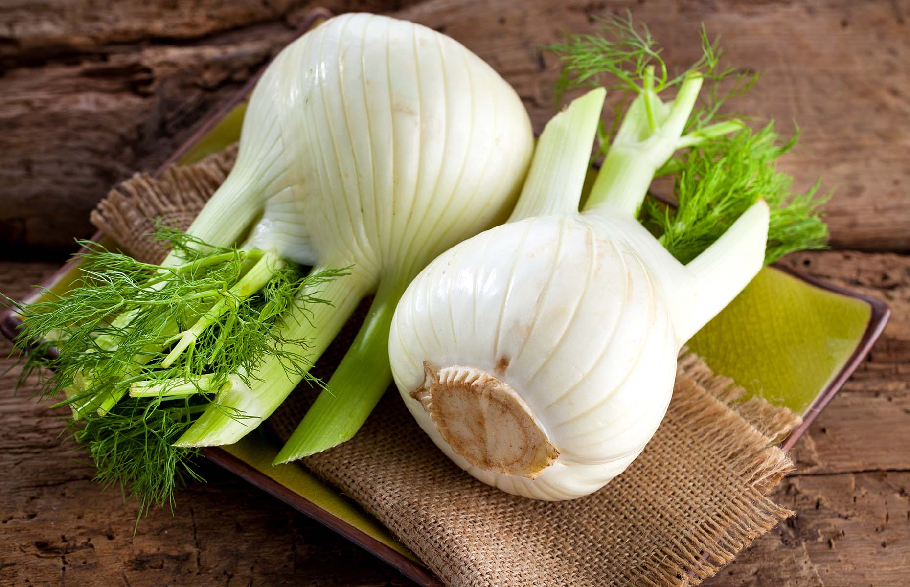 Fennel bulbs