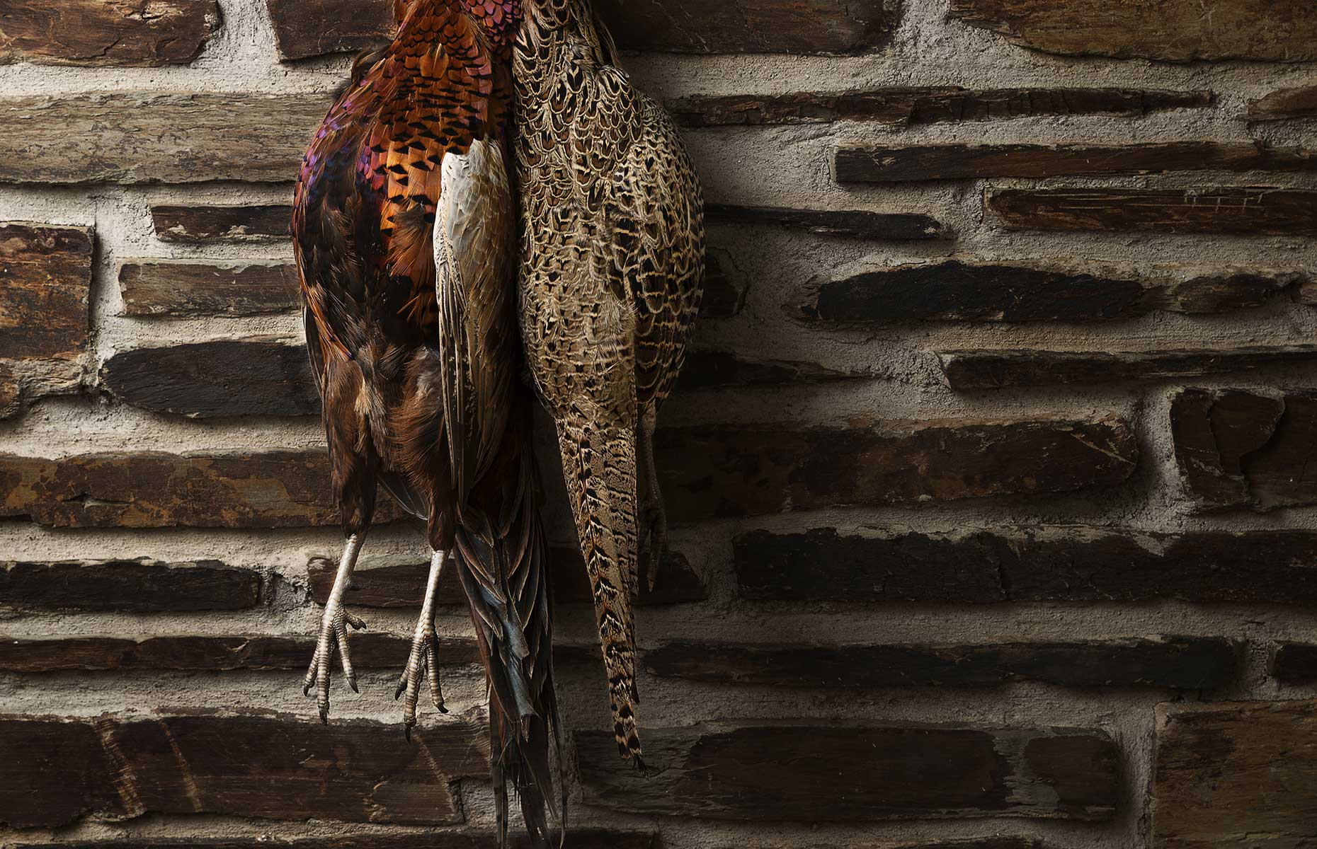 Pheasants hanging up (Image: James Pearce/Shutterstock)