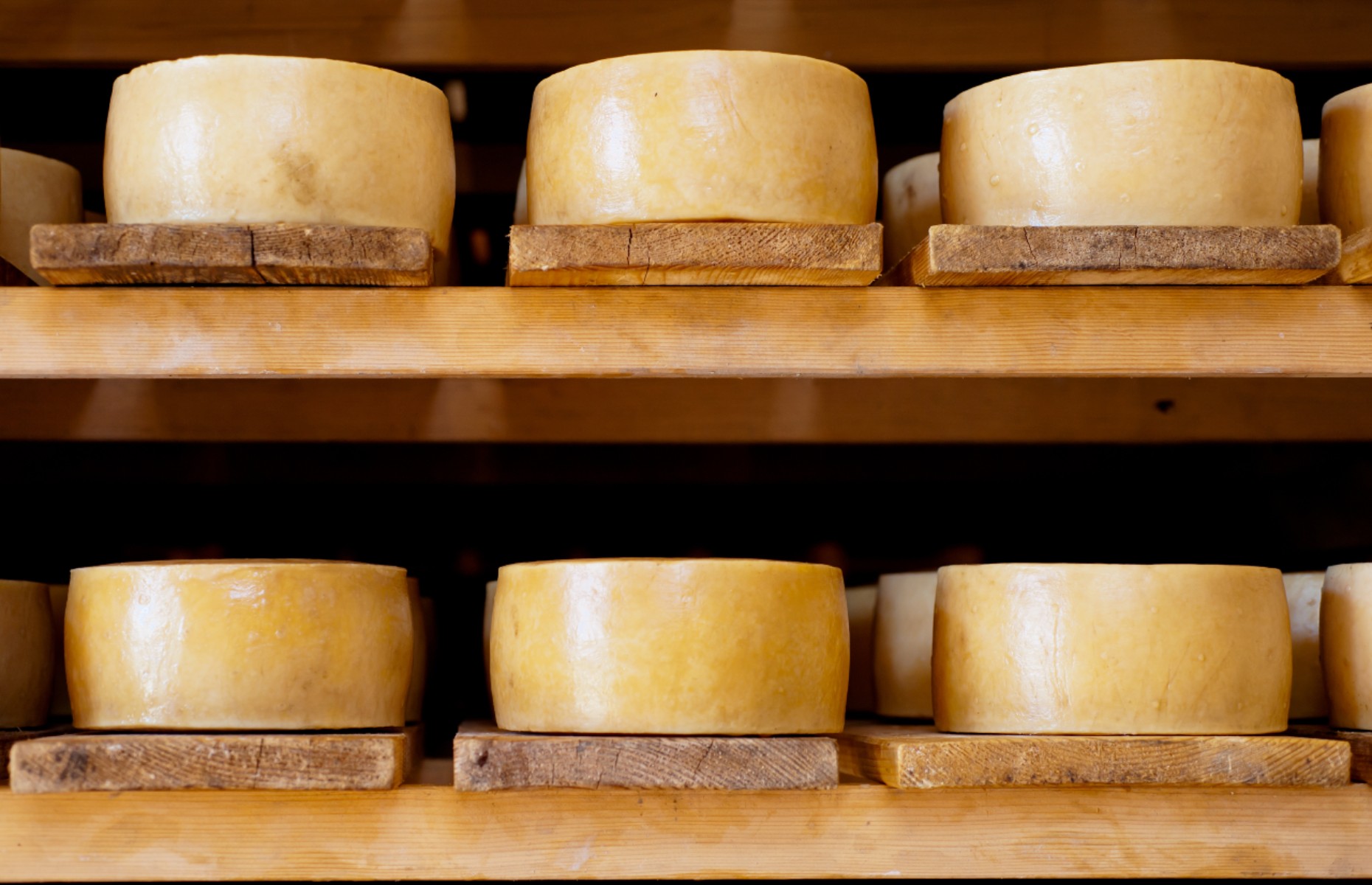 Cheese from Pag island (Image: Natalia Bratslavsky/Shutterstock)