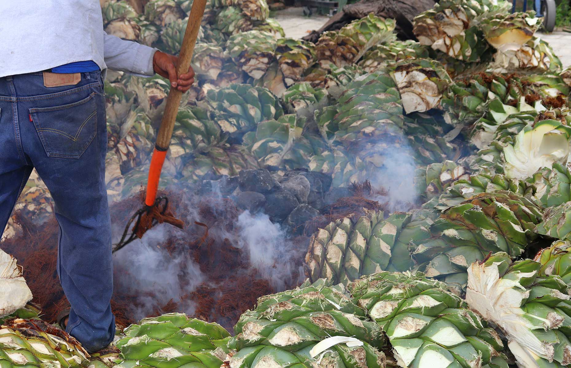 Underground oven, part of the mezcal production process (Image: Analuisa Gamboa/Unsplash) 