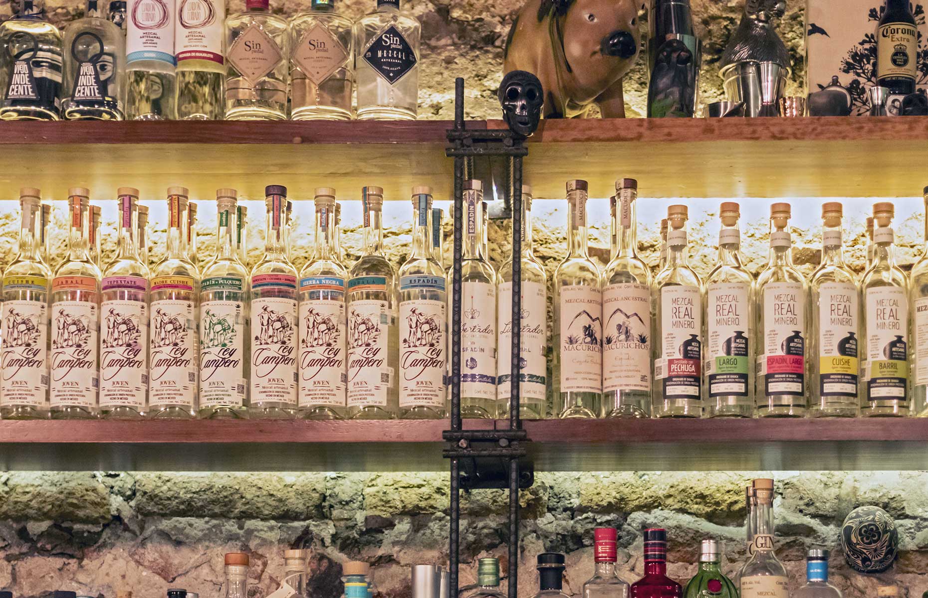 Mezcal varieties in Oaxaca, Mexico (Image: Jim West/Zuma Press/PA Images)