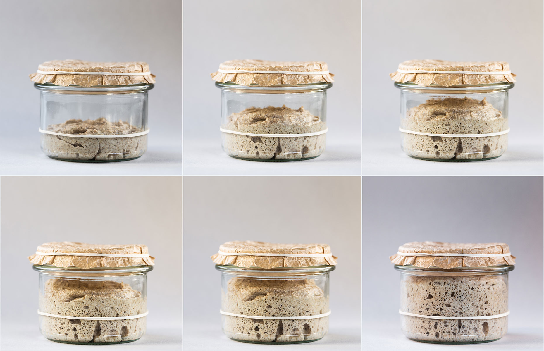 Sourdough starter growth over time (Image: Zagorulko Inka/Shutterstock)