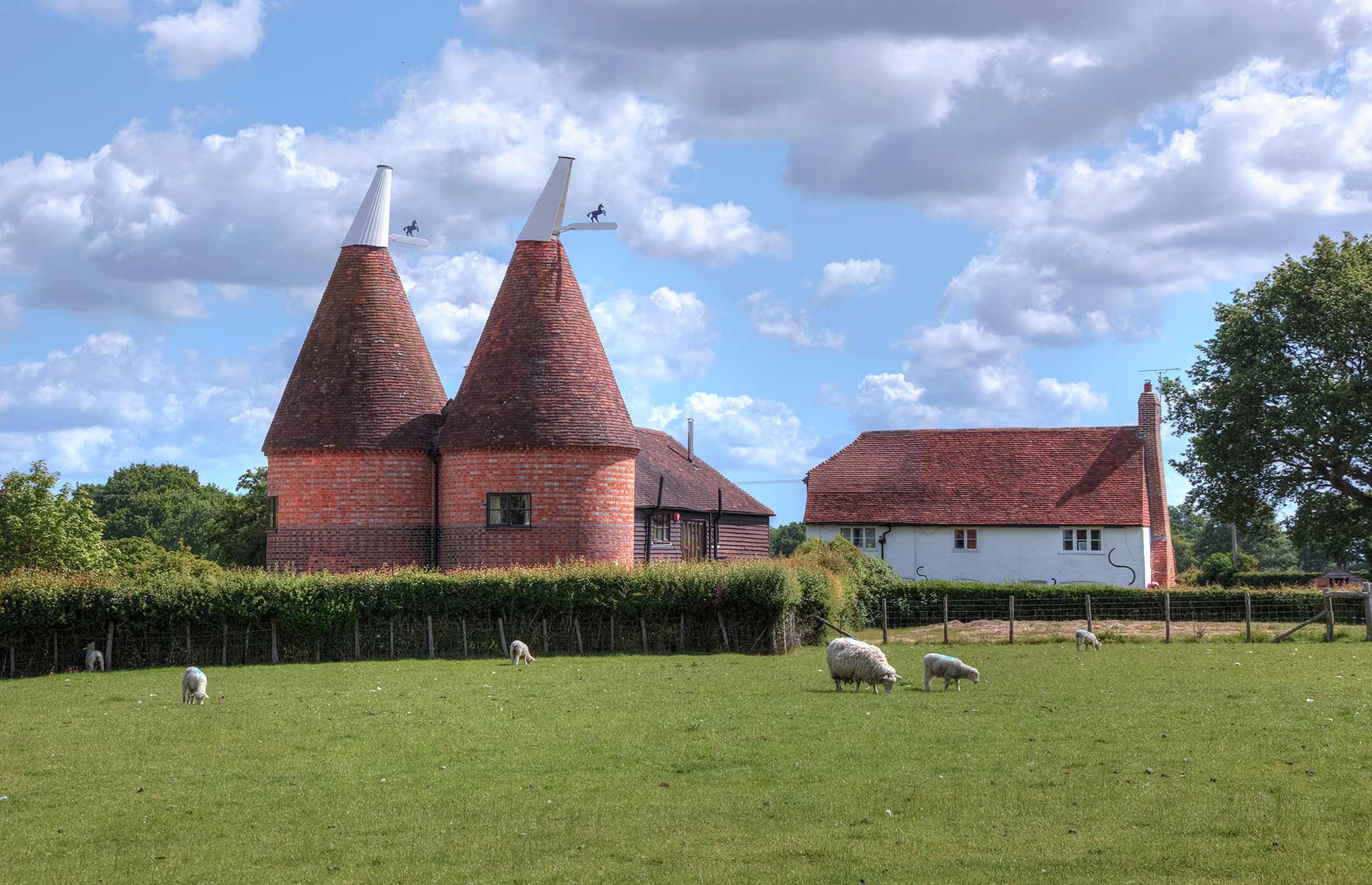 A typical oast house in Kent with sheep in the foreground (Image: Joana Kruse/Alamy Stock Photo)