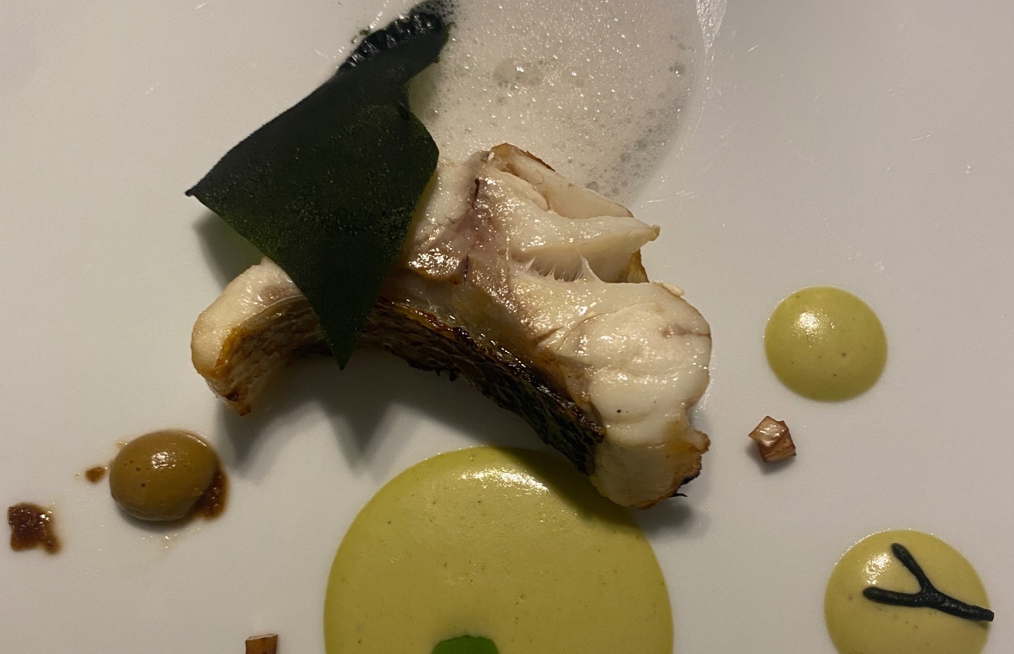 Etxeko The Ocean Wild Sea Bass (Image: @Mini_Pauley)