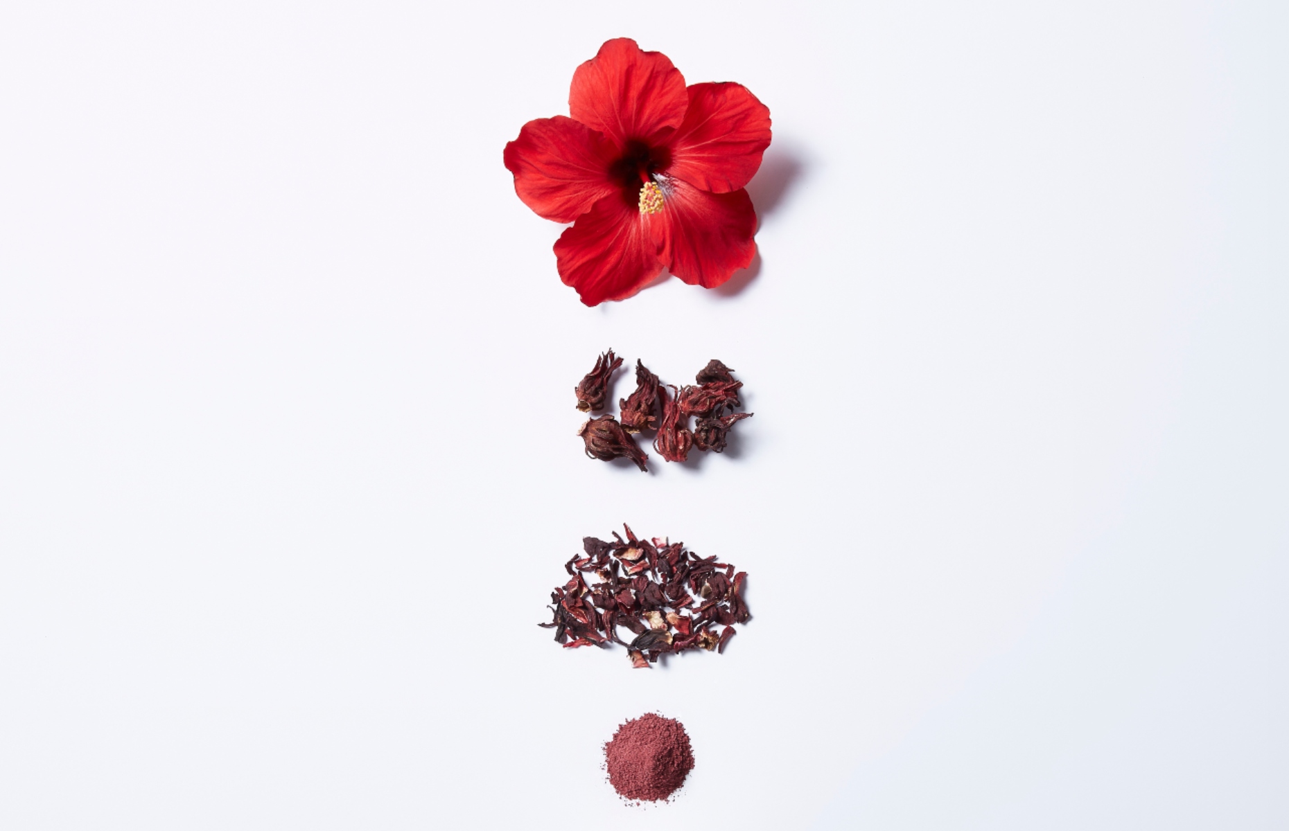 Hibiscus as an ingredient (Image: Inenennn/Shutterstock)