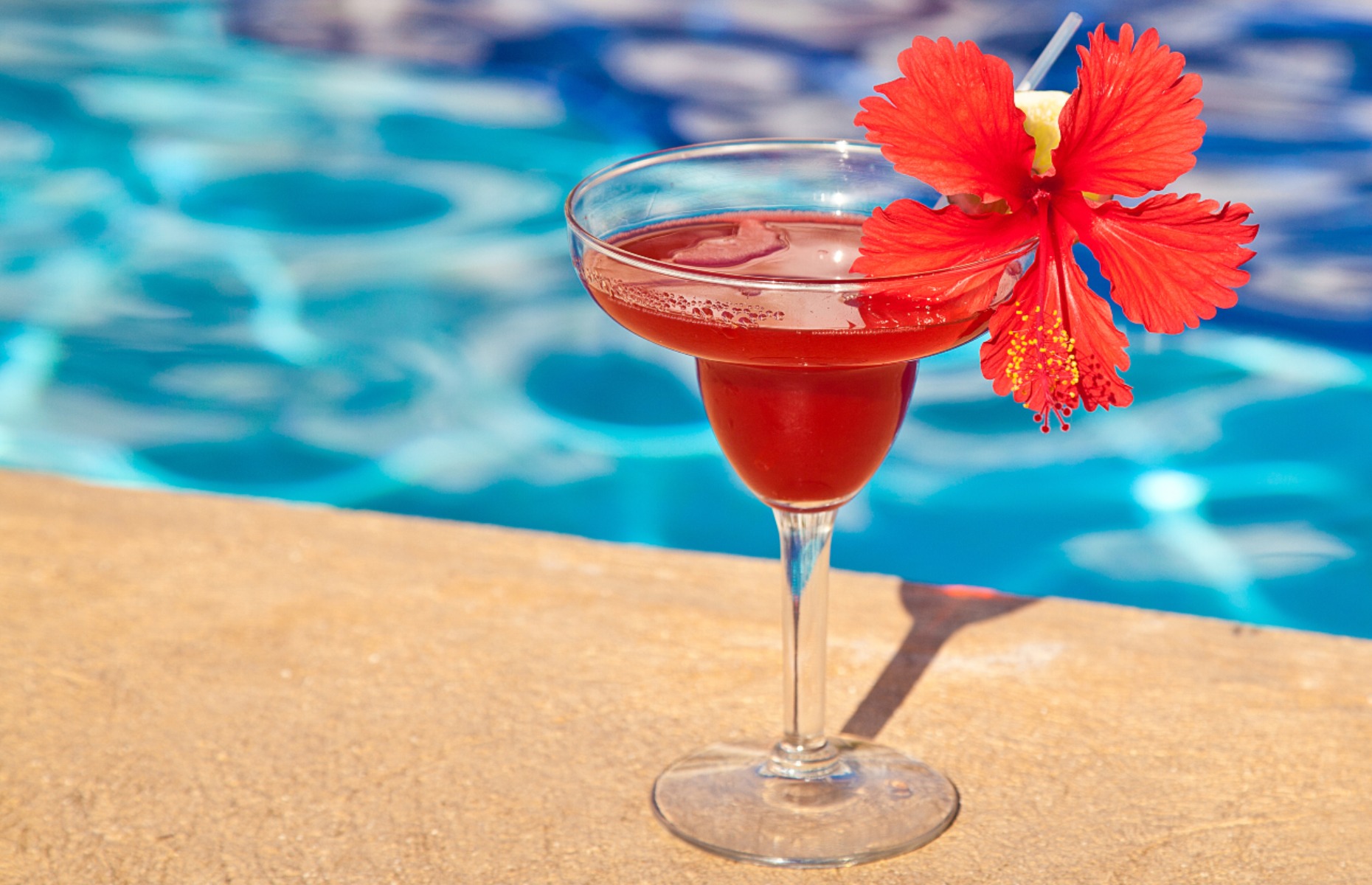 Hibiscus margarita (Image: AbElena/Shutterstock)