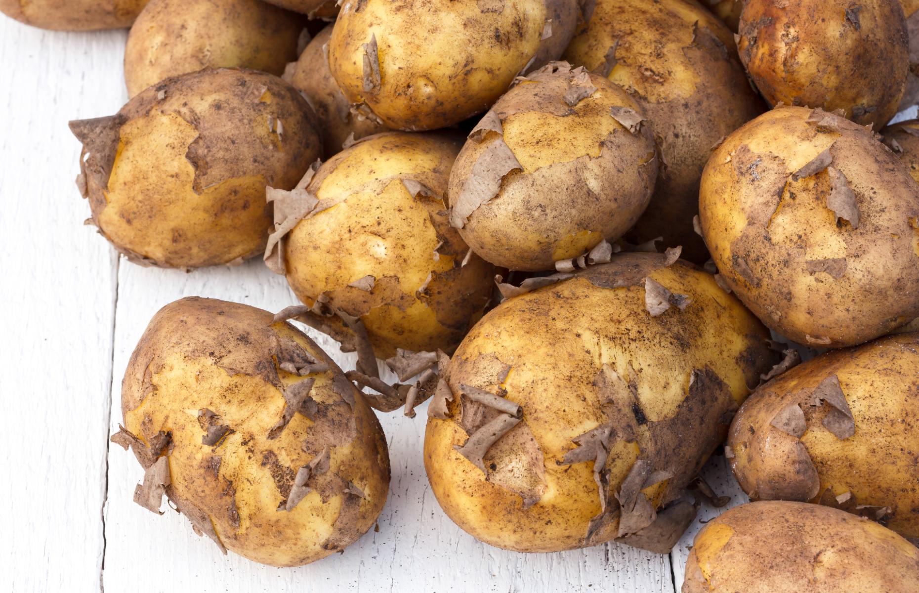 Jersey Royals in their skins [image: Moving Moment/Shutterstock]
