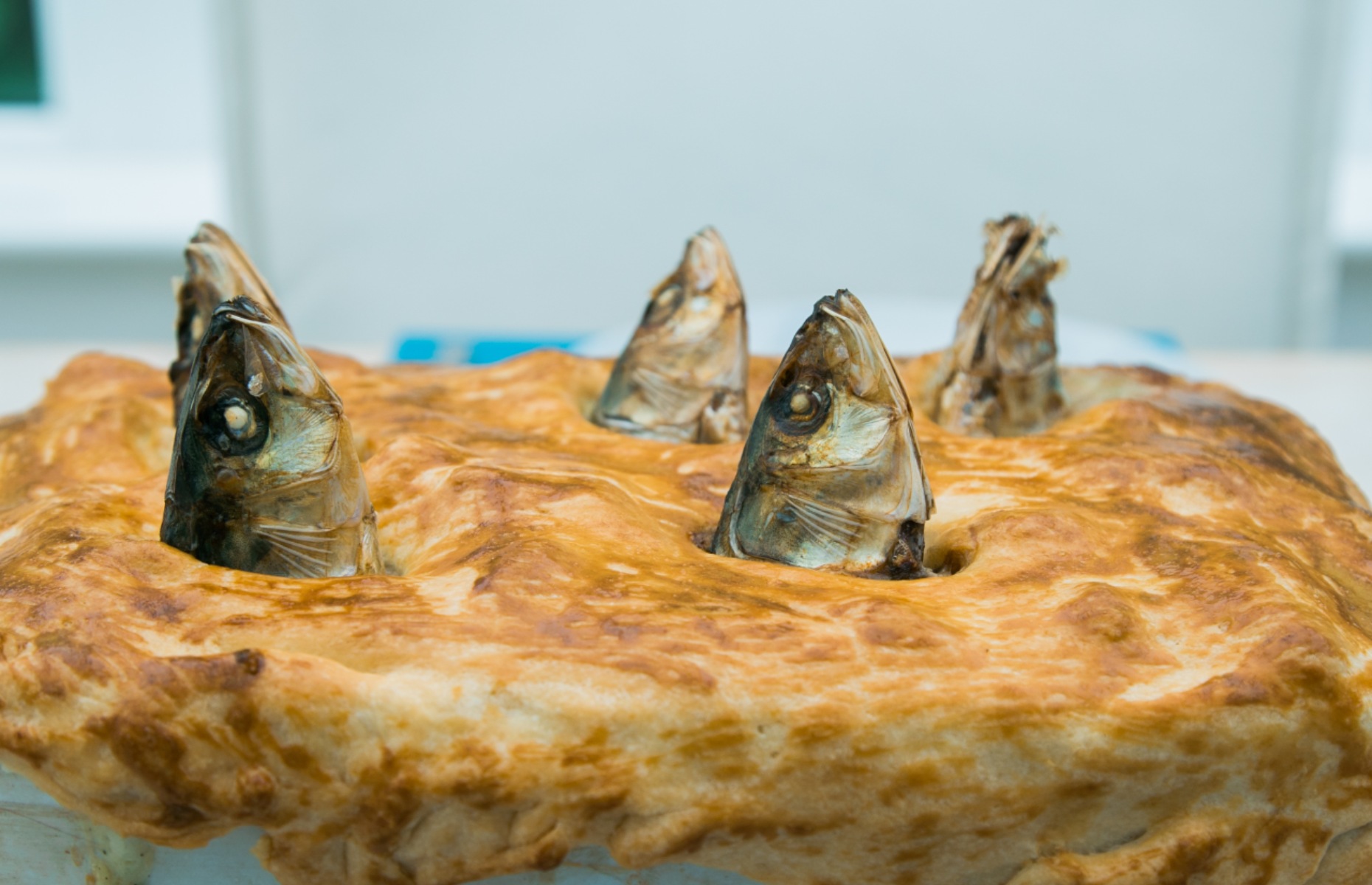 Stargazy pie (Image: Davis Dorss/Shutterstock)