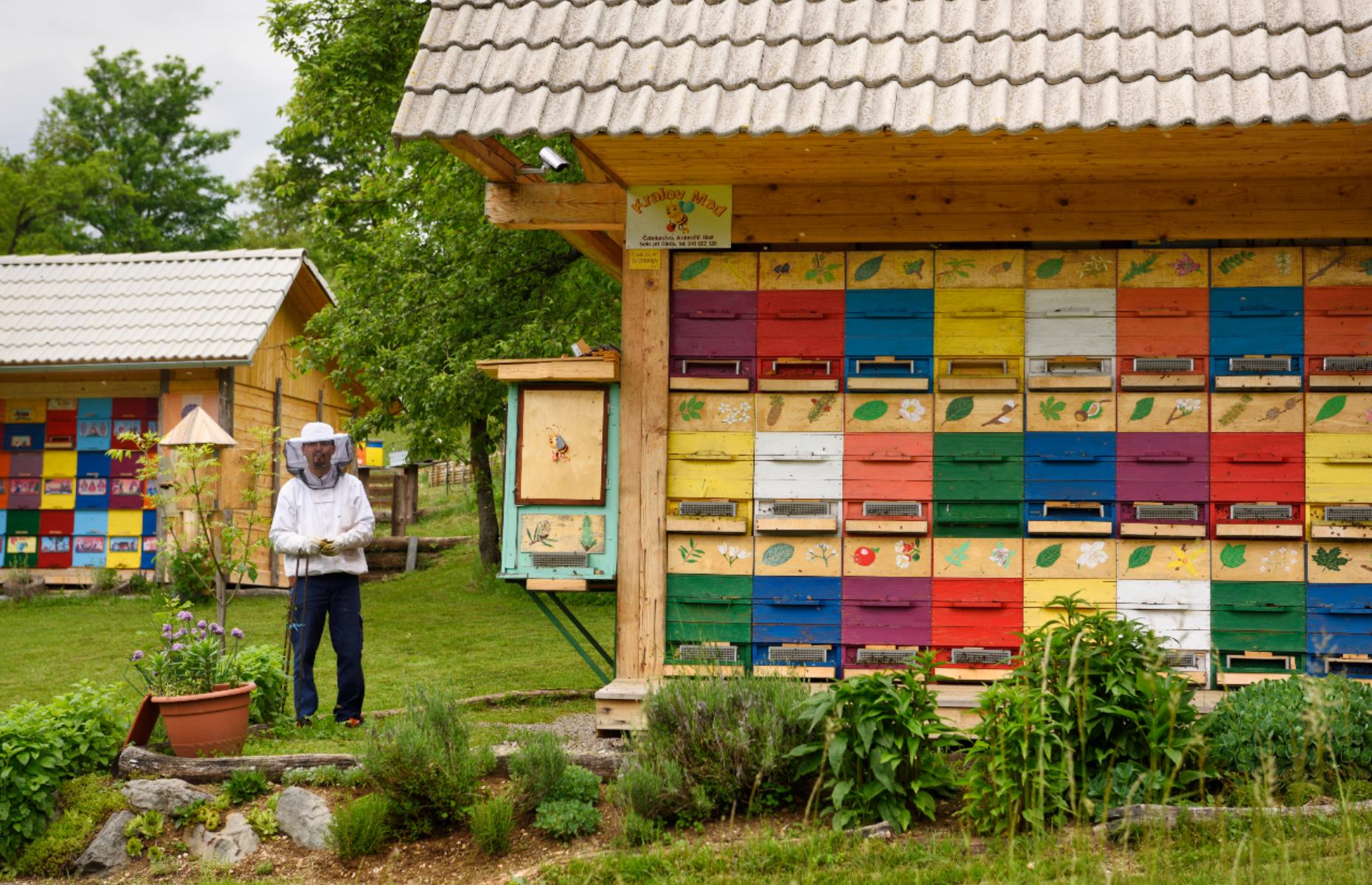 Traditional beekeeping in Bled, Slovenia (Image: Reimar/Shutterstock