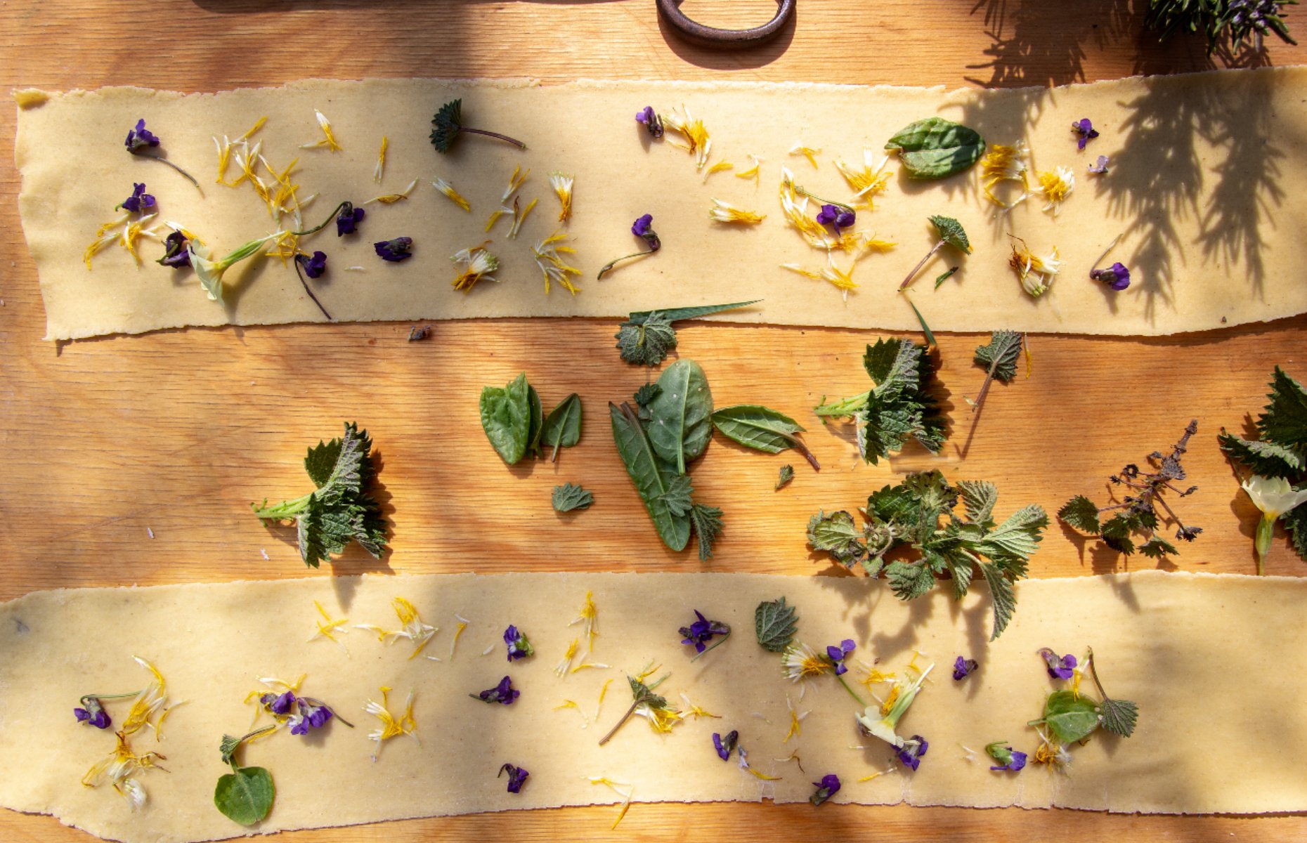 Pasta dough with herbs and flowers (Image: YULIYA KIRILLOVA/Shutterstock)