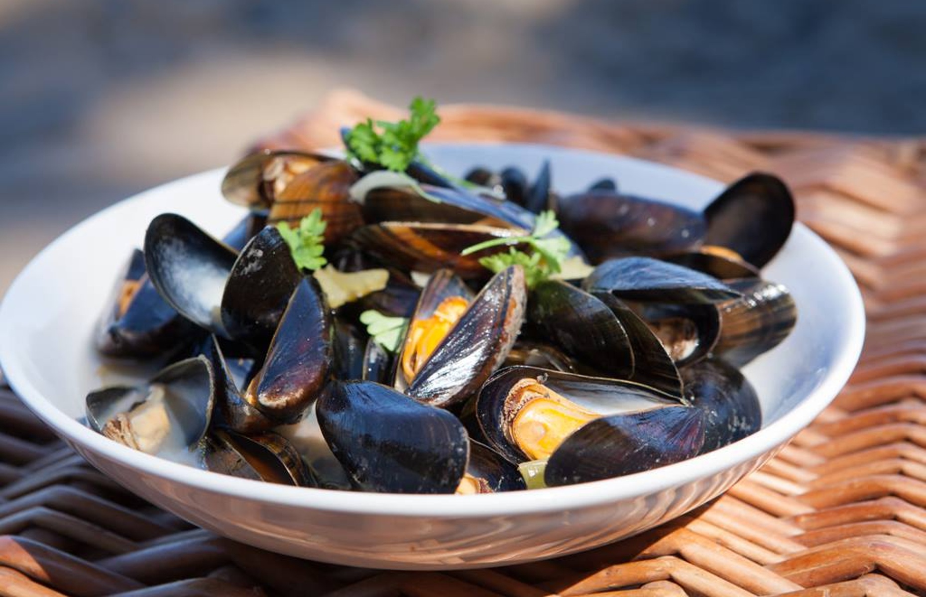 Conwy mussels (Image: Conwy Mussels/Facebook)