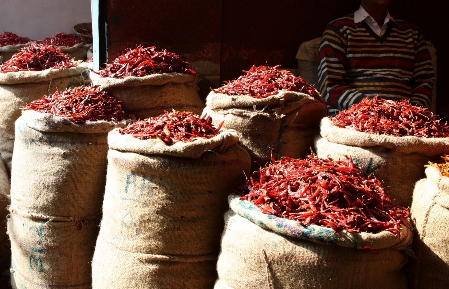 Dried chillies in sacks