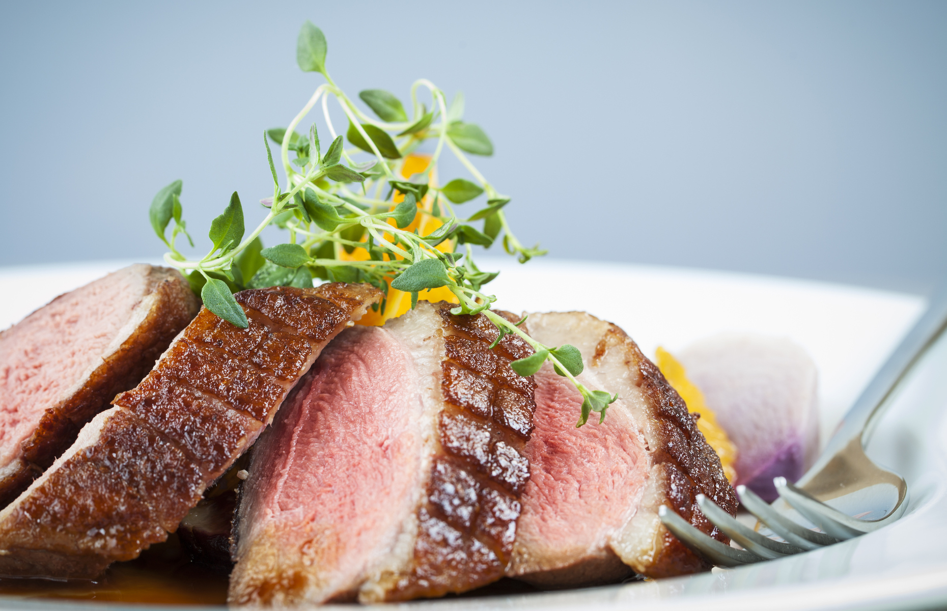 pan-fried duck breast