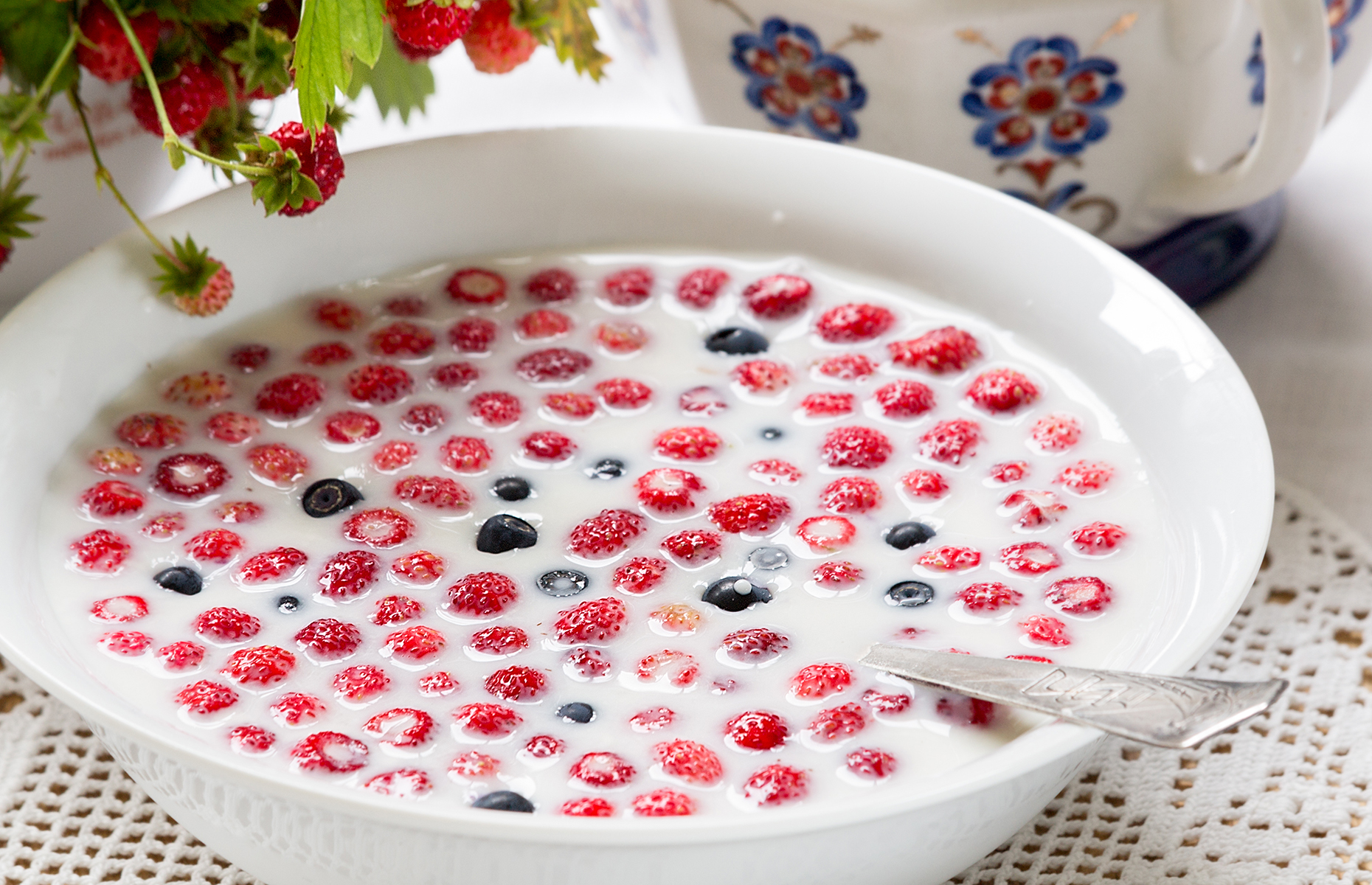 Wild strawberries with milk (Image: Vo - Yggdrasill/Shutterstock)