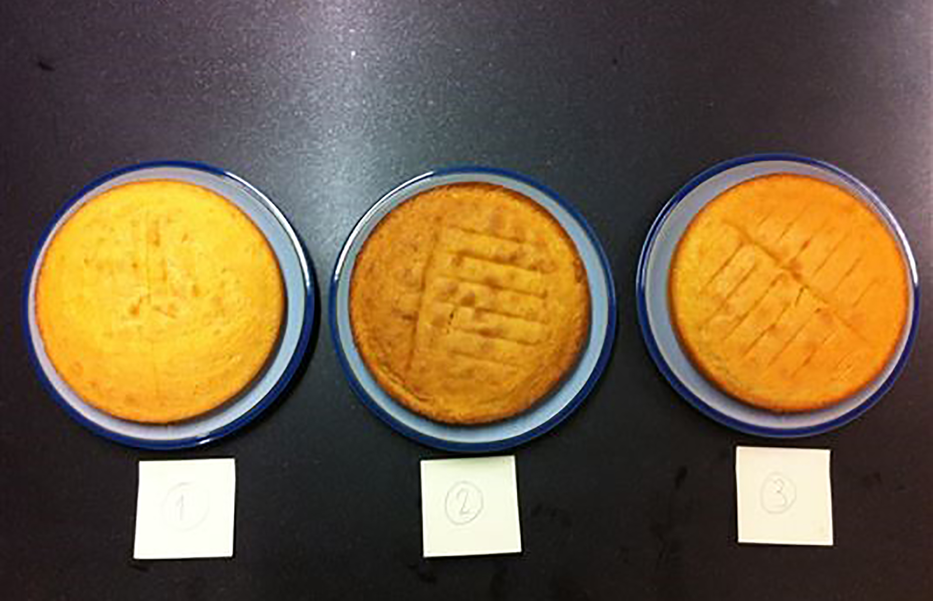 Results of the sponge cake test (Image: Charlotte Morgan)