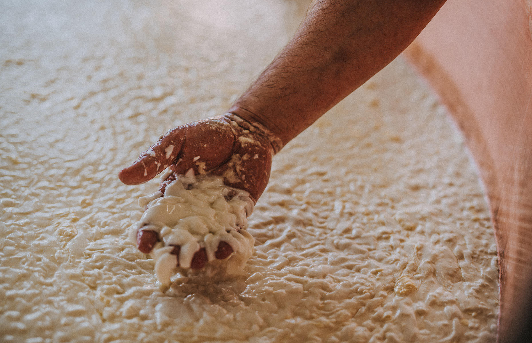 curds and whey