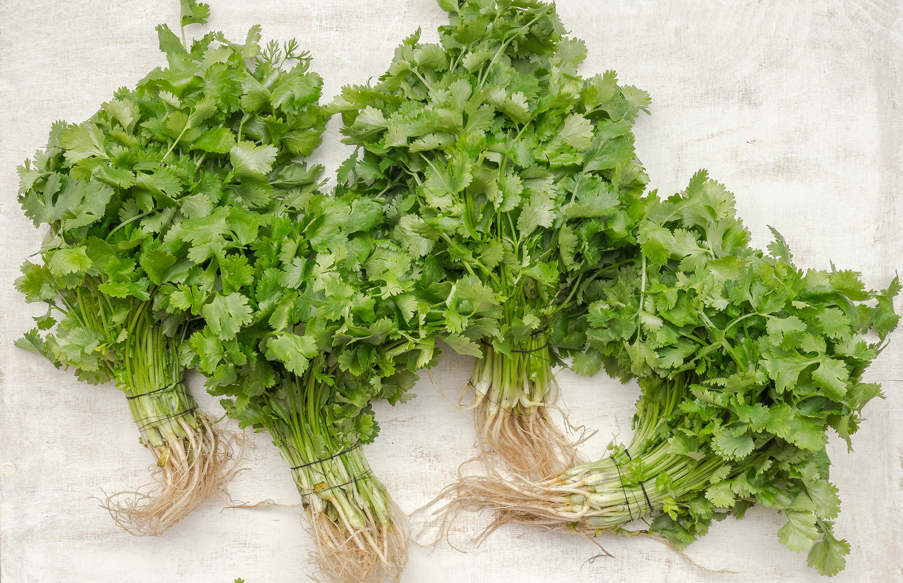 Bunches of fresh parsley (Image: Tomasz Olszewski/Unsplash)