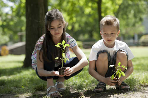 Freebies from your local council (Image: shutterstock)