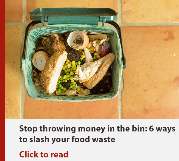 Food in bin (Image: lovemoney - Shutterstock)