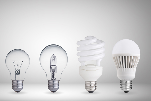 A row of lightbulbs. (Image: Shutterstock)