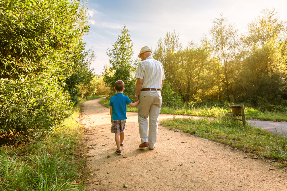 Making sure your pension is on track (Image: Shutterstock)