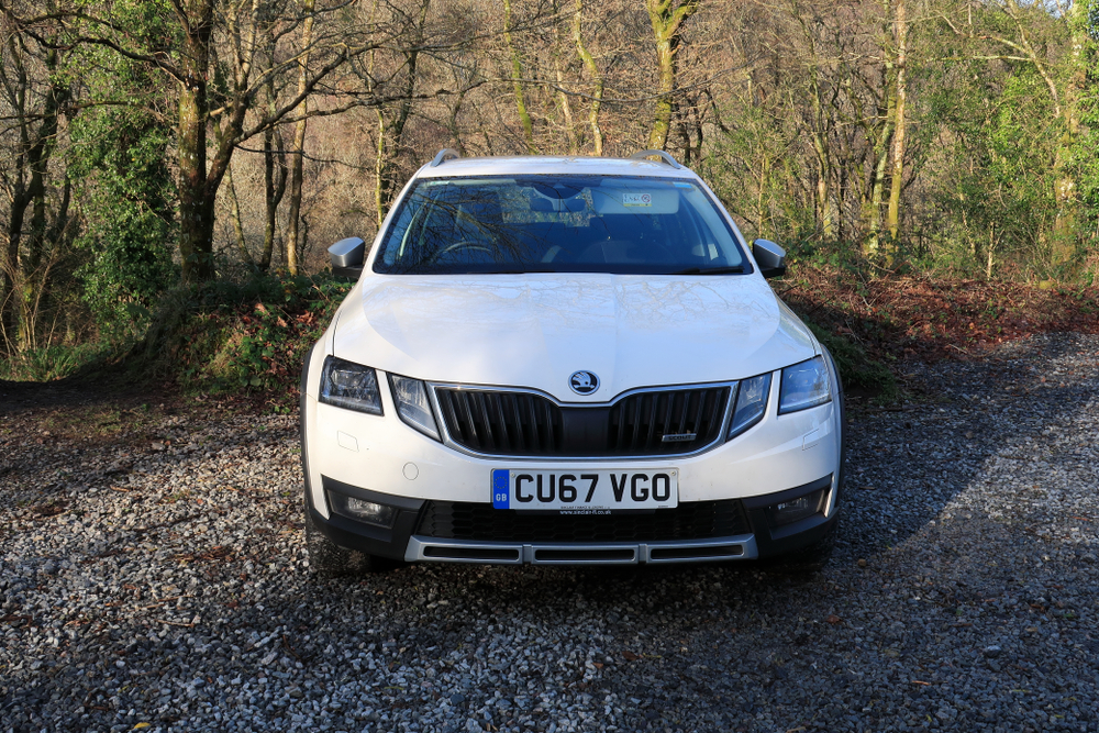 Skoda Octavia estate fared well in the WhatCar awards (Image: Shutterstock)