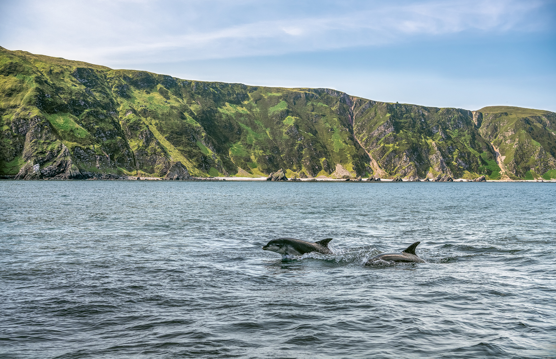 Twin Travelling Dolphins, Malin Head, Co Donegal. (Courtesy Gareth Wray Photography)