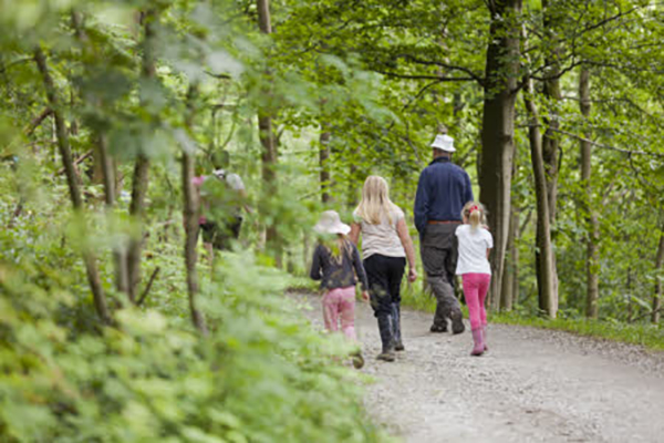 Family doing geocaching. (Image: National Trust Images/Ben Selway)