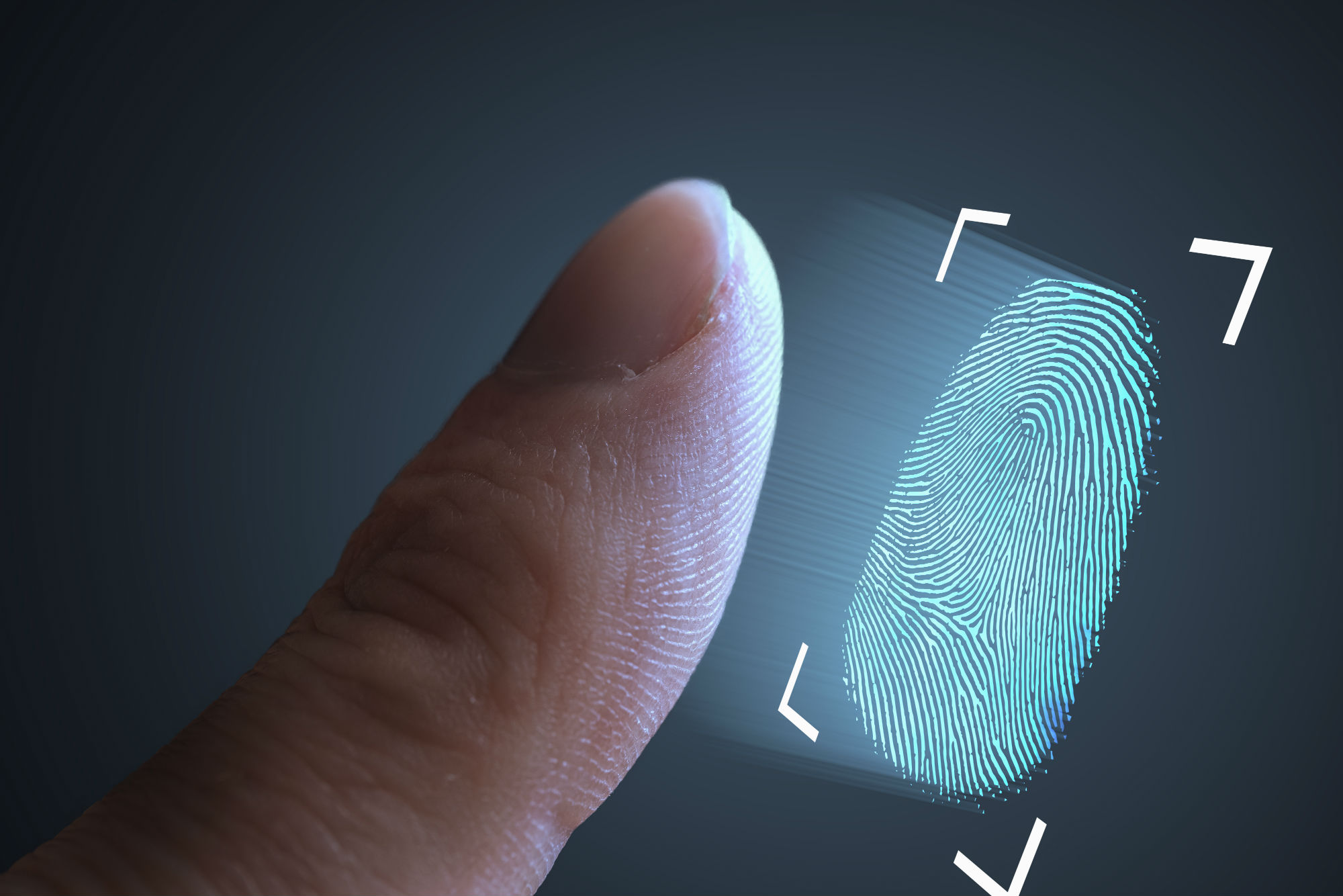 Biometric indicators such as facial recognition and fingerprints are set to replace the password. Image: Shutterstock