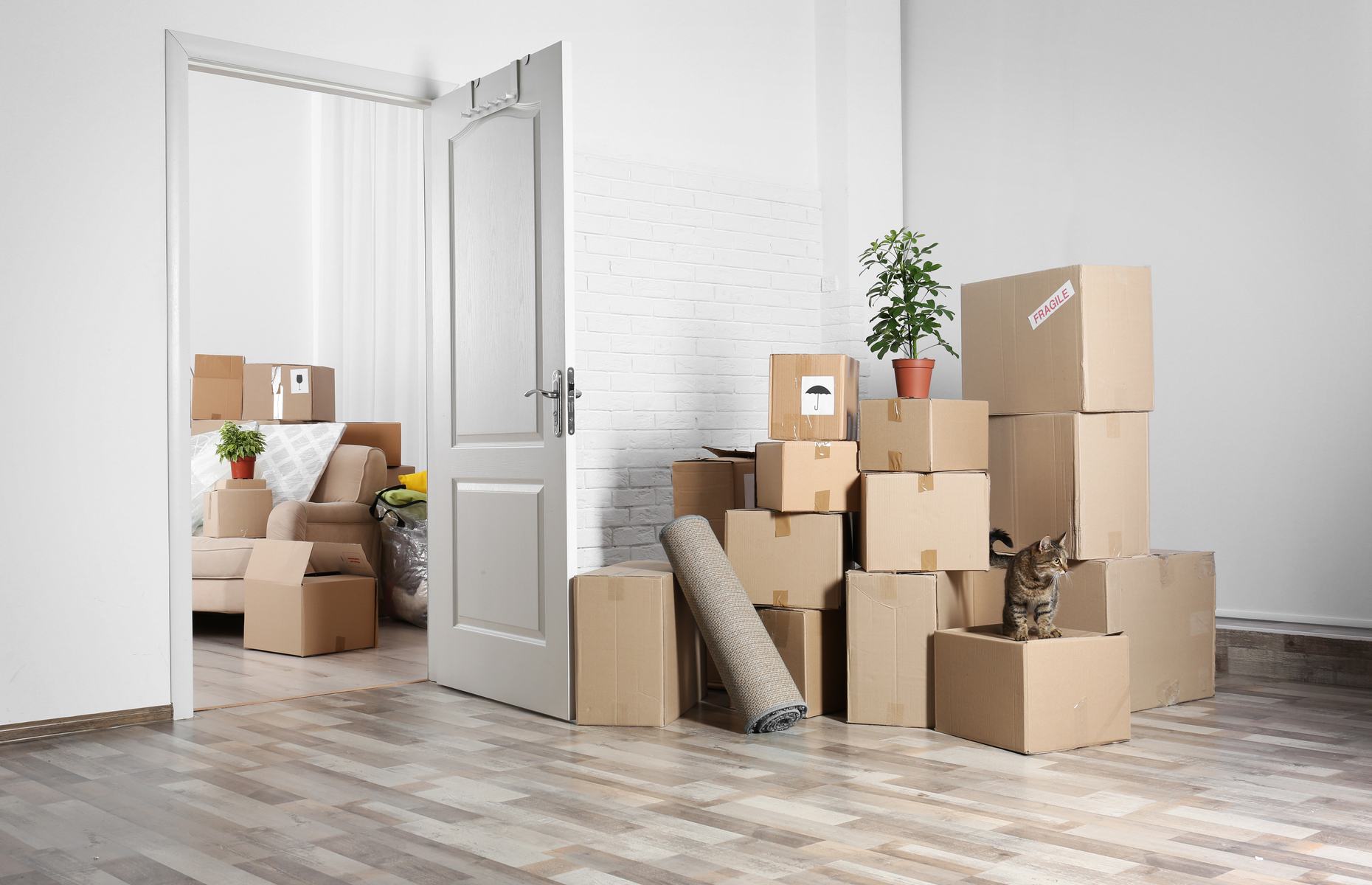 Unless unavoidable, homeowners and renters are being advised to postpone moving until after lockdown. Image: Africa Studio / Shutterstock