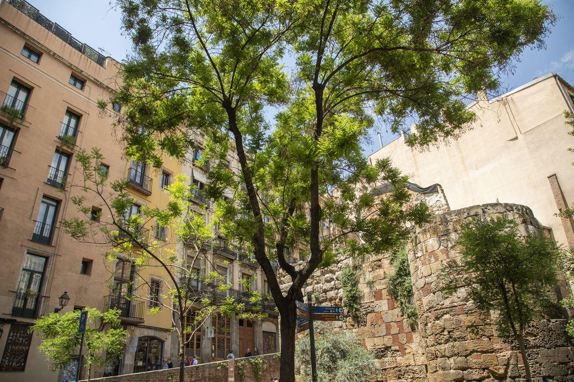 Gothic Quarter: Holiday homes for sale in Barcelona