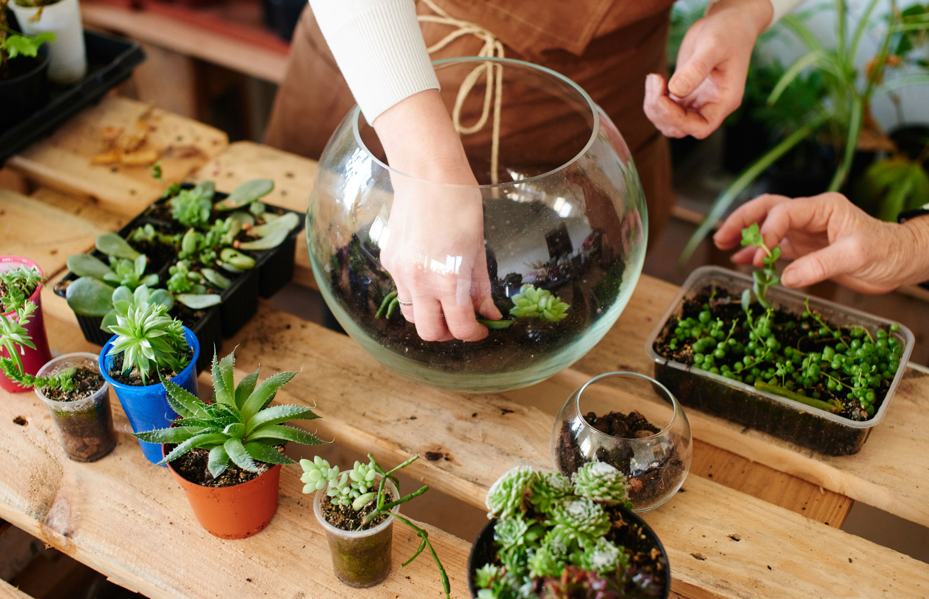 Terrarium workshop