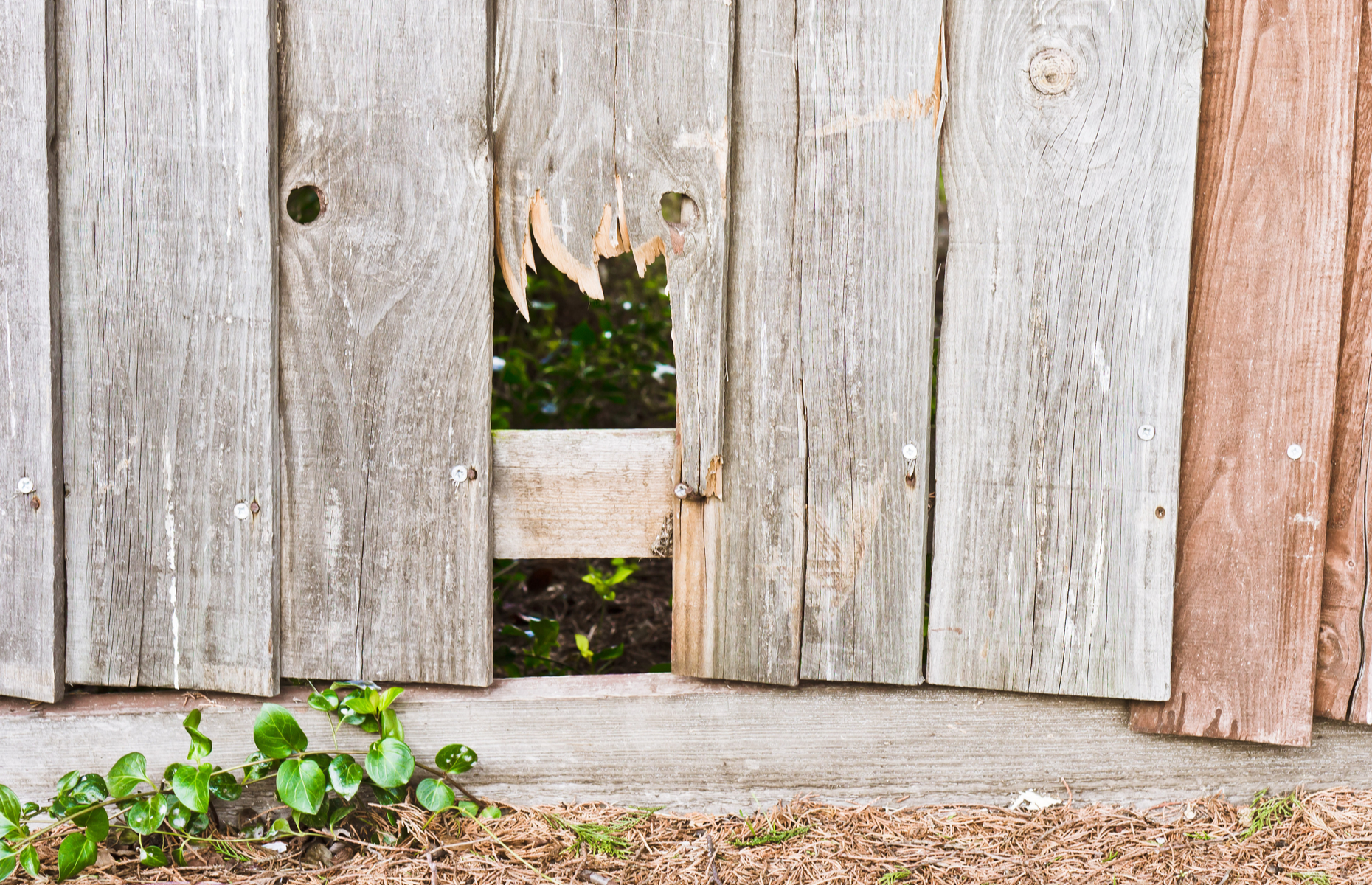 Leaving broken fence posts to linger could lead to more costly repairs. Image: Tom Gowanlock / Shutterstock