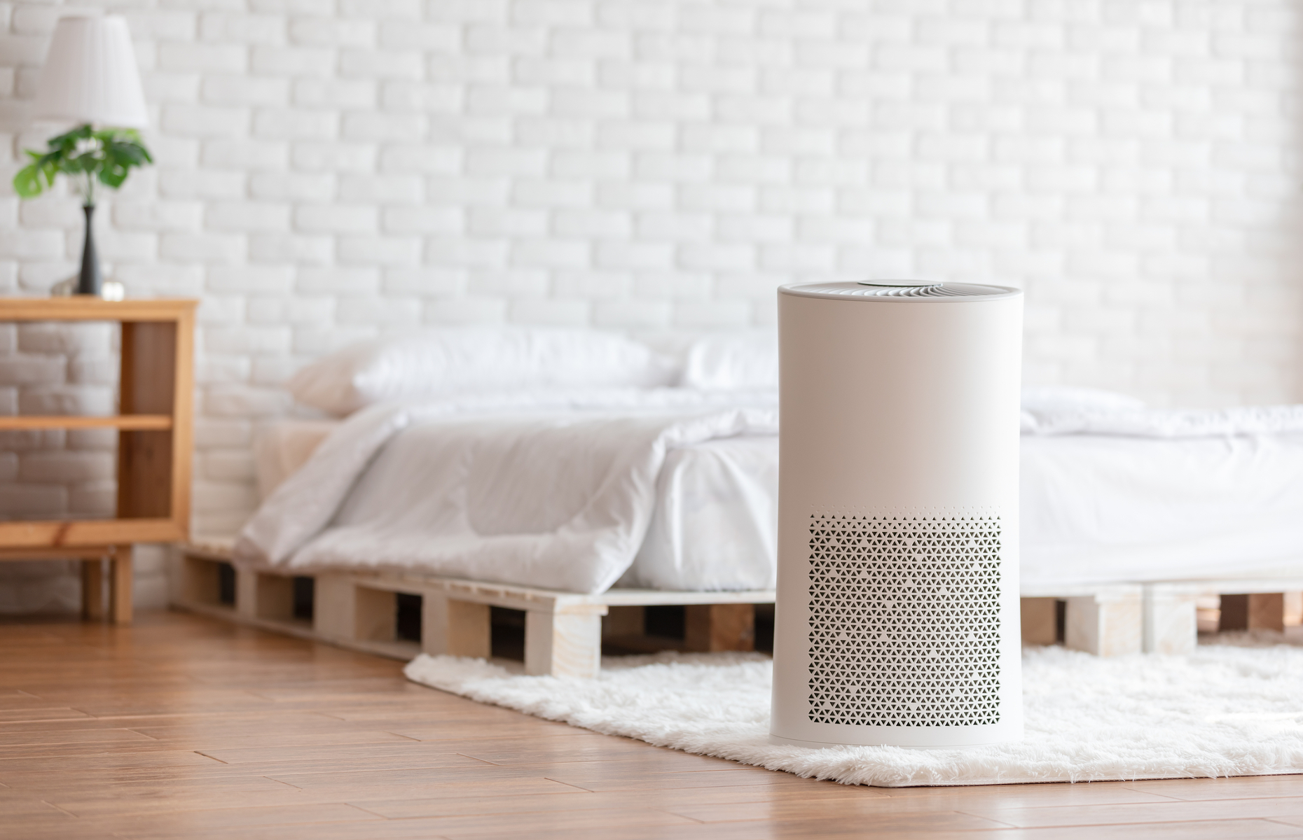 Air purifiers can increase household air quality and ease allergy symptoms. Image: Yuttana Jaowattana / Shutterstock