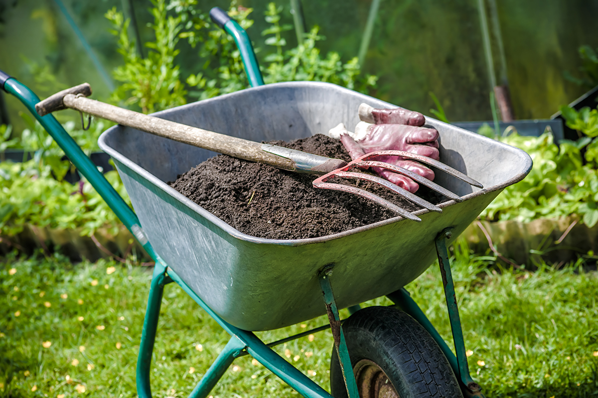 Improve the soil when you start a garden. Image: Shutterstock